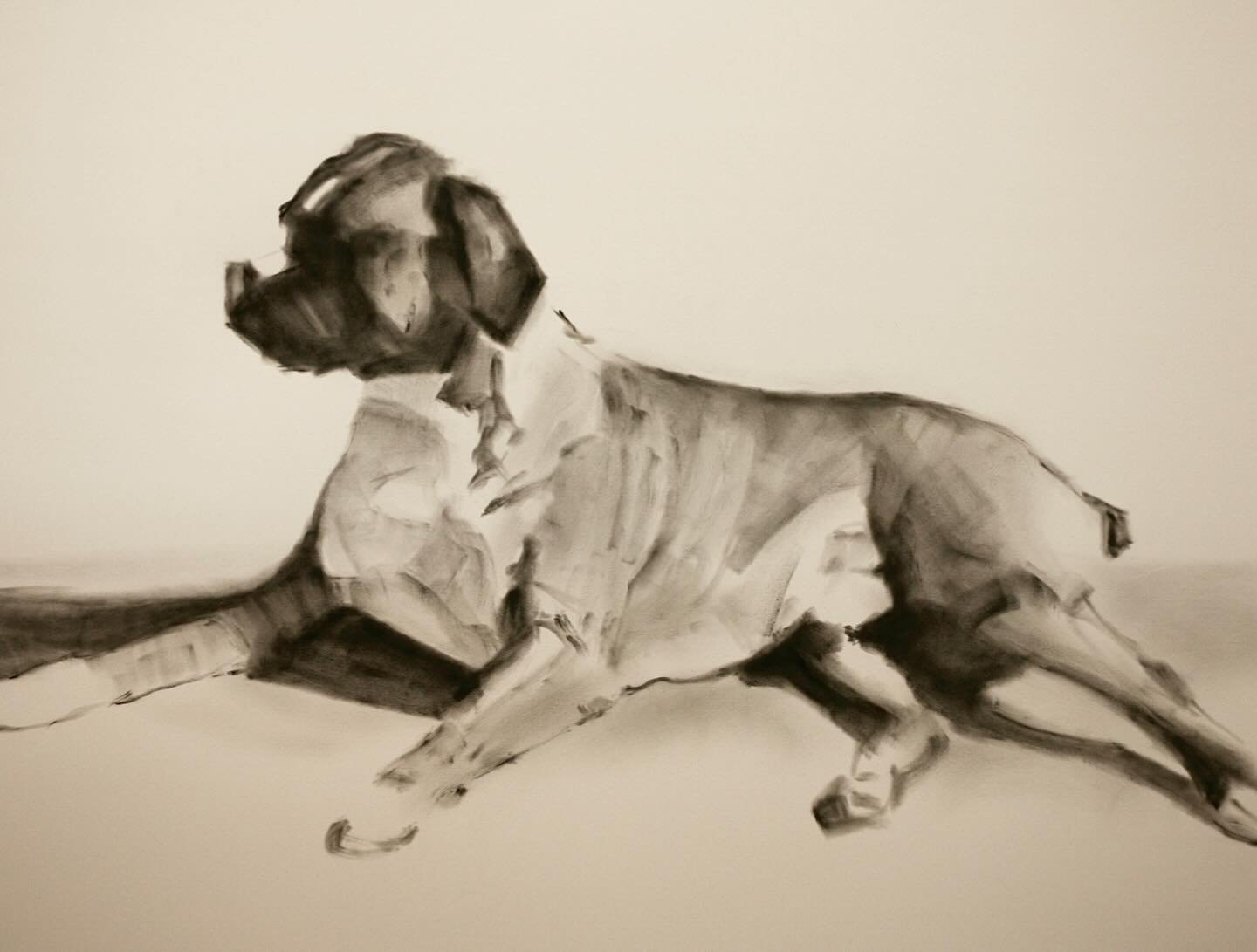 Pastel and charcoal drawing of a boxer and a poodle.

#pasteldrawing #boxerdog #poodle #niebergart