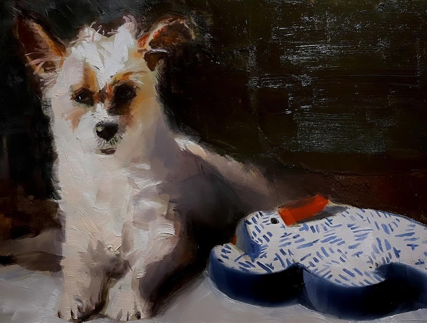 The girl with her favorite toy.
Oil on panel.
6x9 inches.

#dogportrait #oilpainting #dogtoy #niebergart