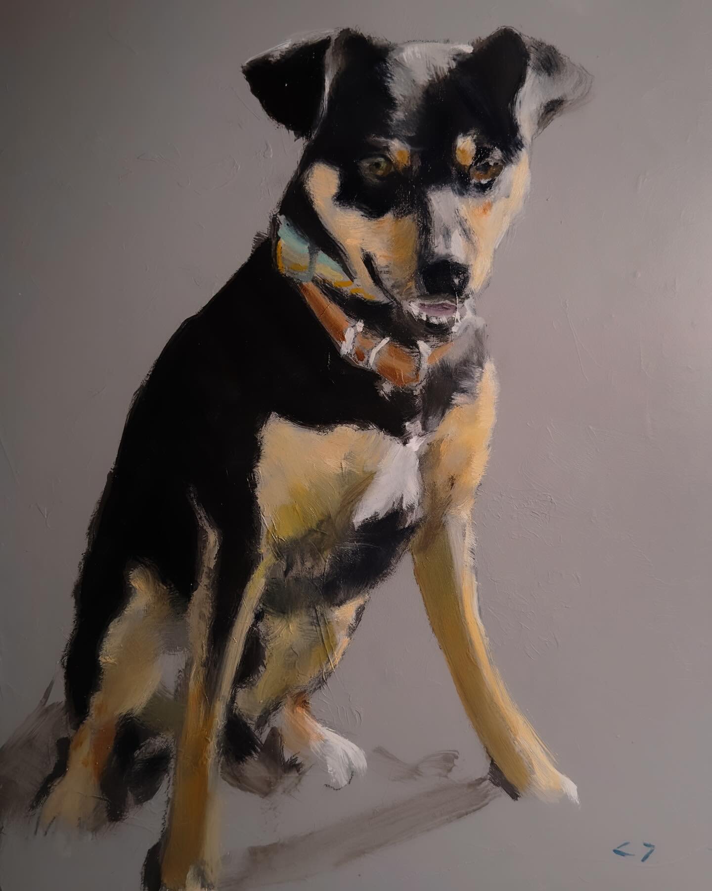 And now with some color&hellip;🎨

#indirectpainting #petportrait #dogpainting #niebergart