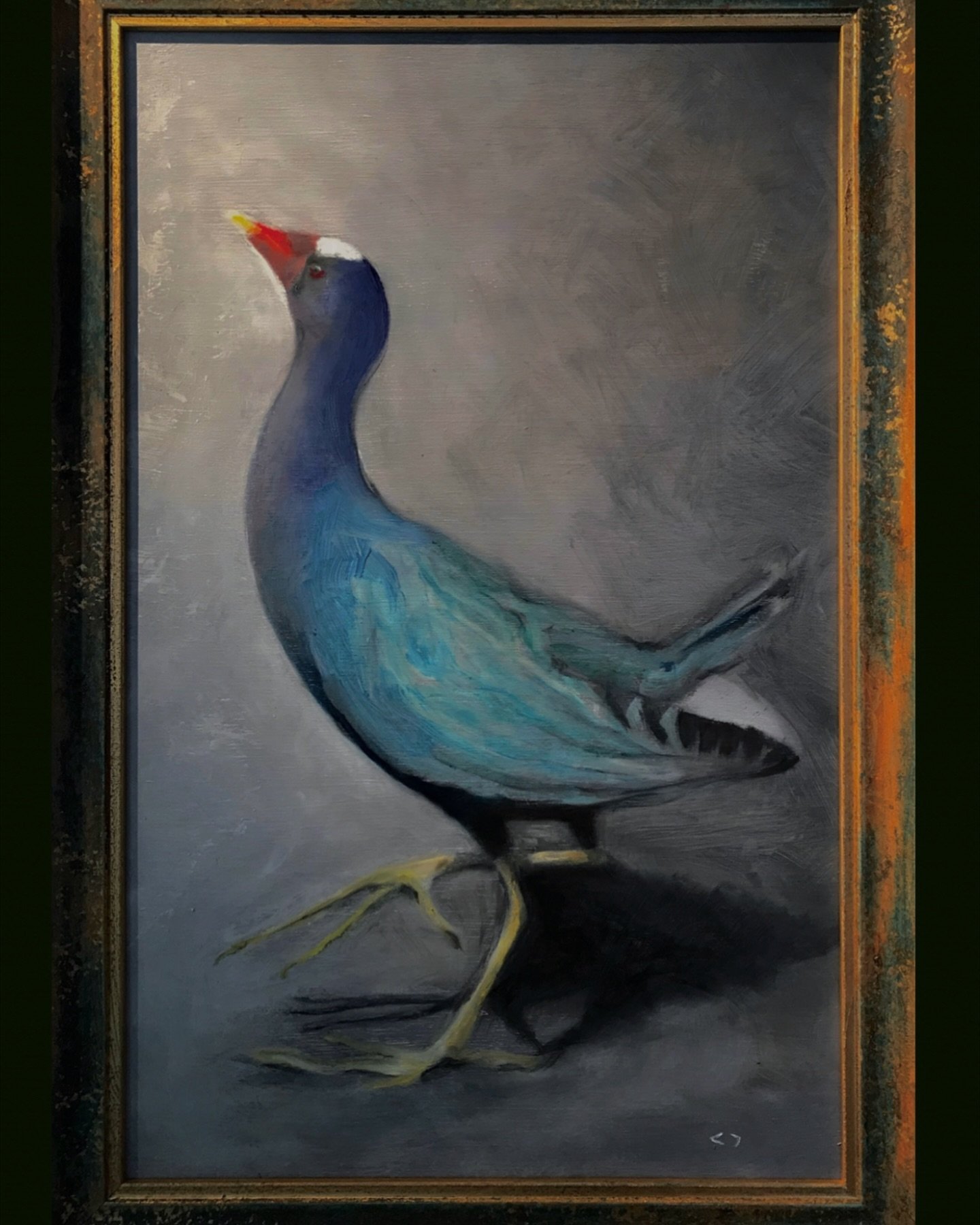 Purple Gallinule (framed).
Oil on panel.
18x24 inches.

#oilpainting #purplegallinule #commissioned #framed #niebergart
