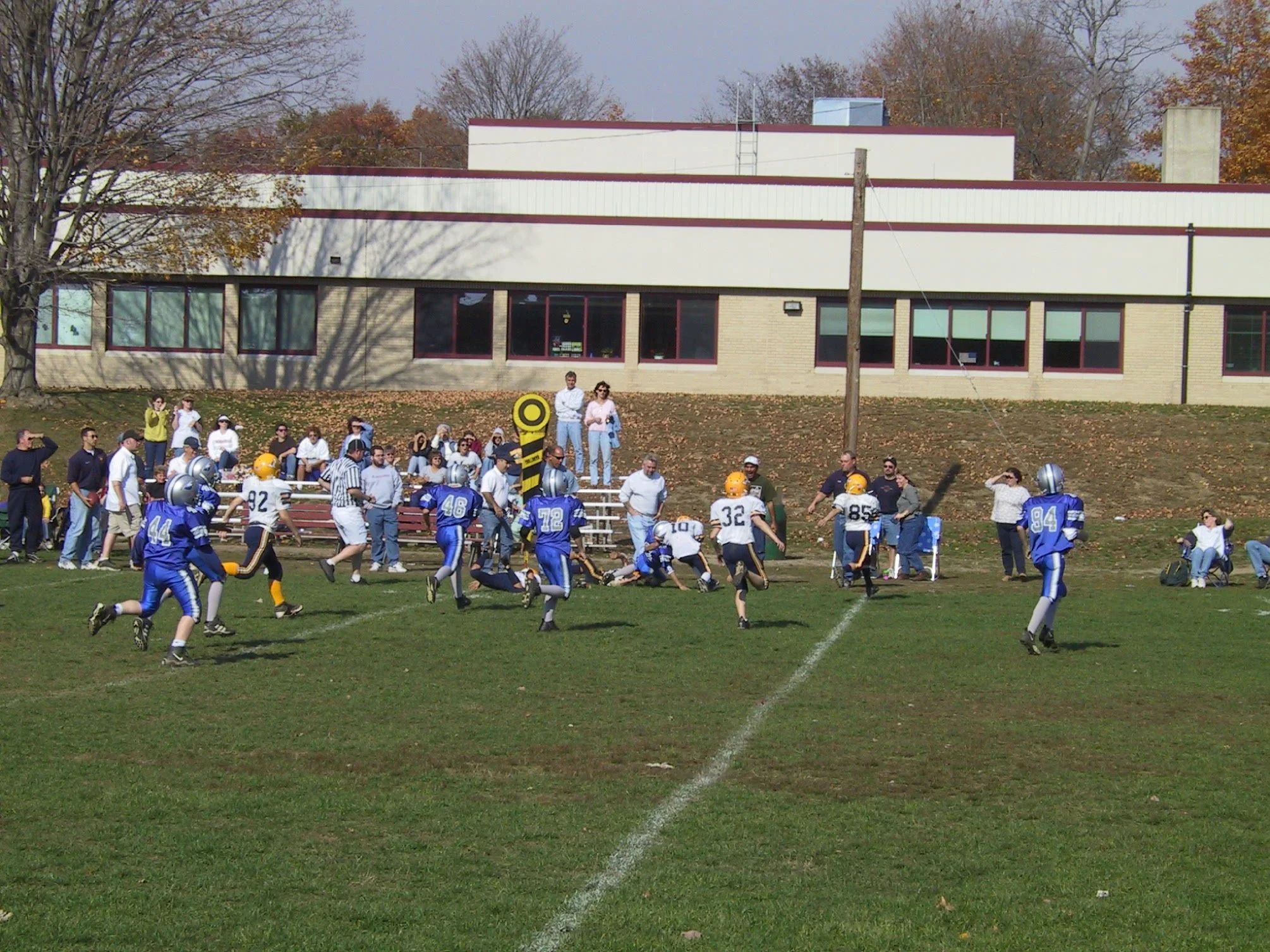 pic17.jpg