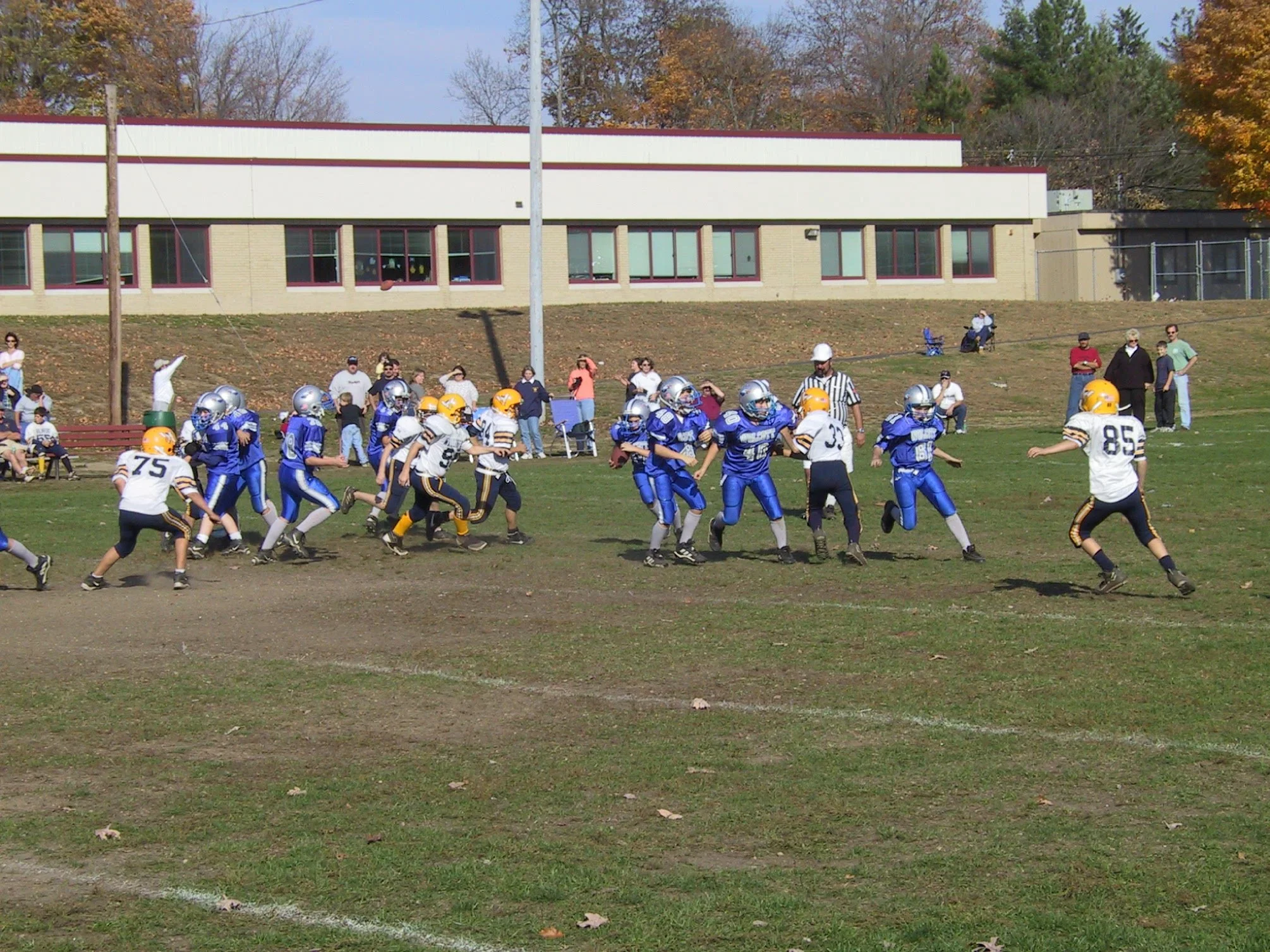 pic42.jpg