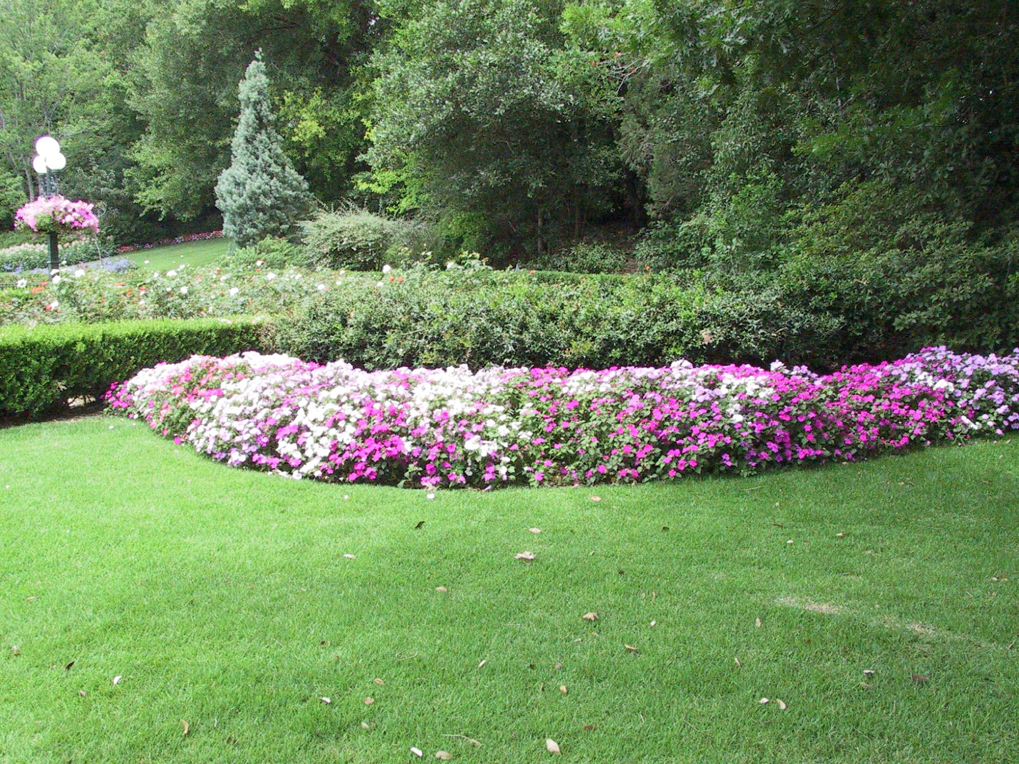 garden2.jpg