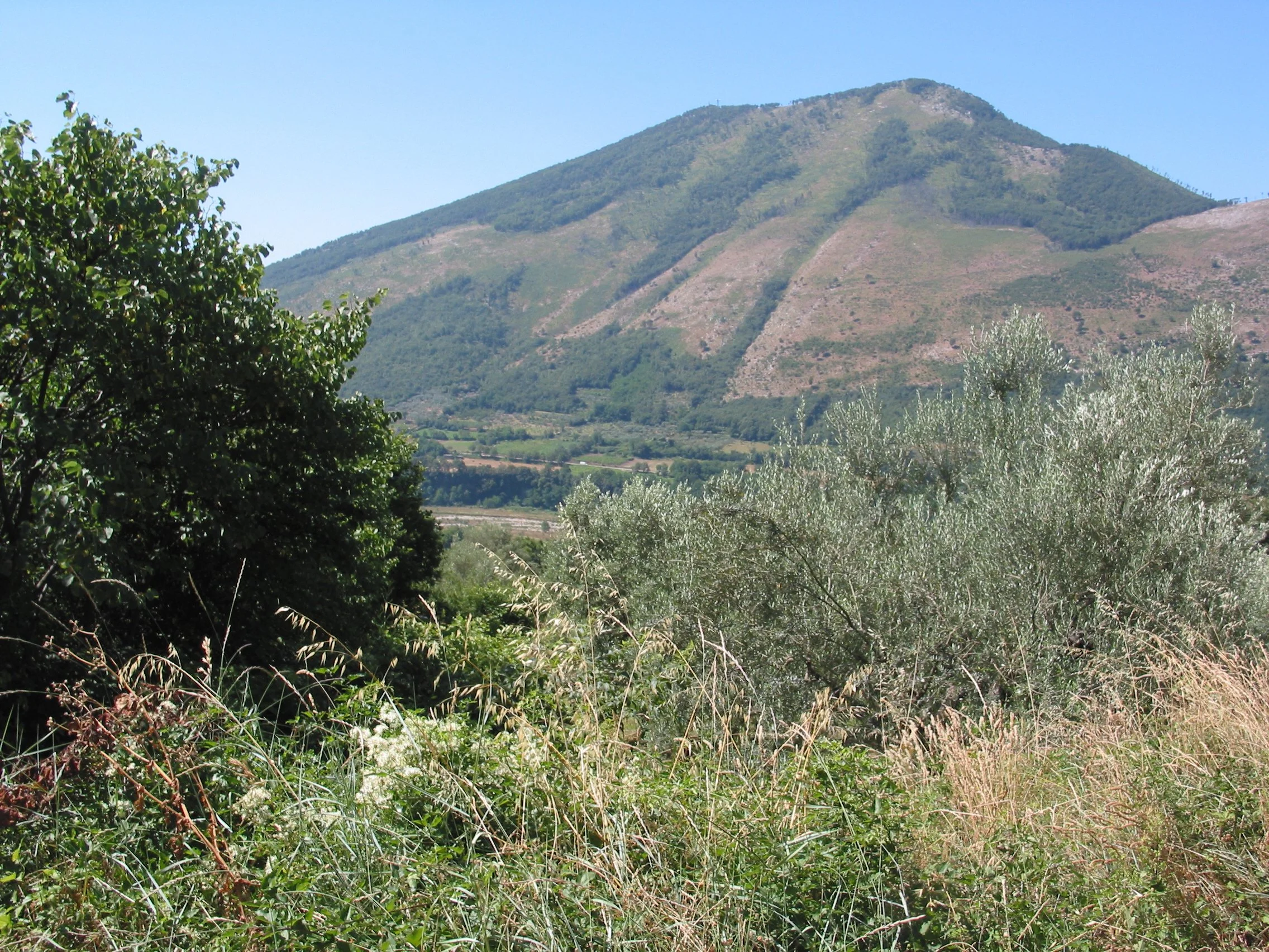 Italy July 2004 (68).jpg