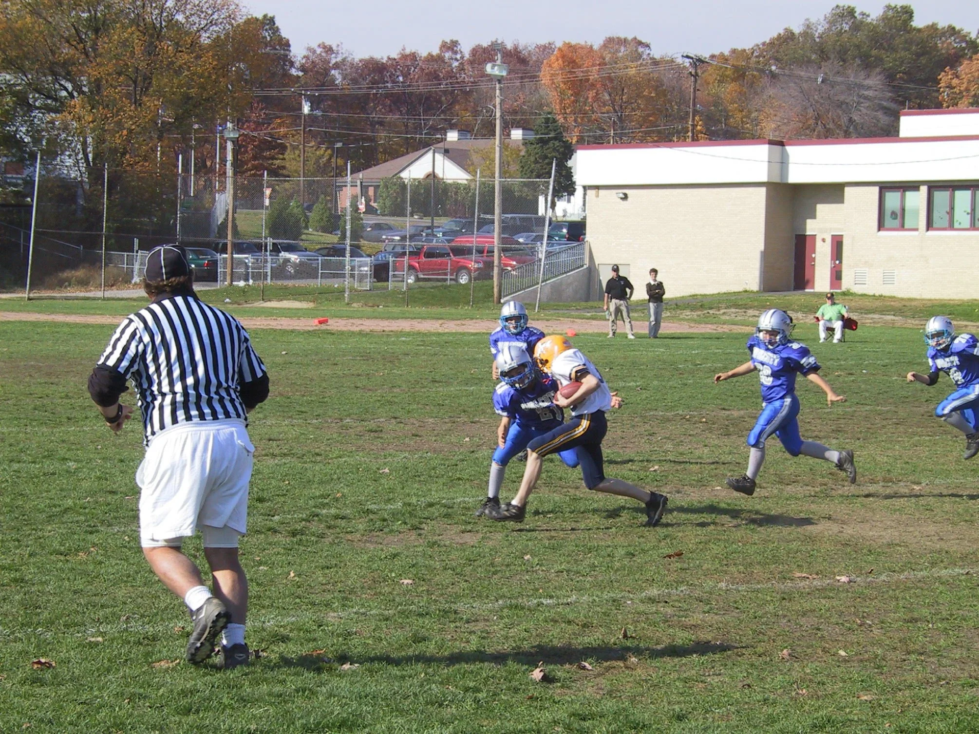 pic19.jpg