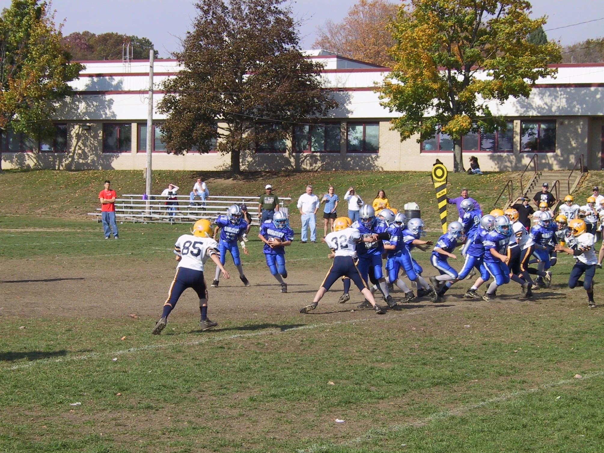 pic14.jpg