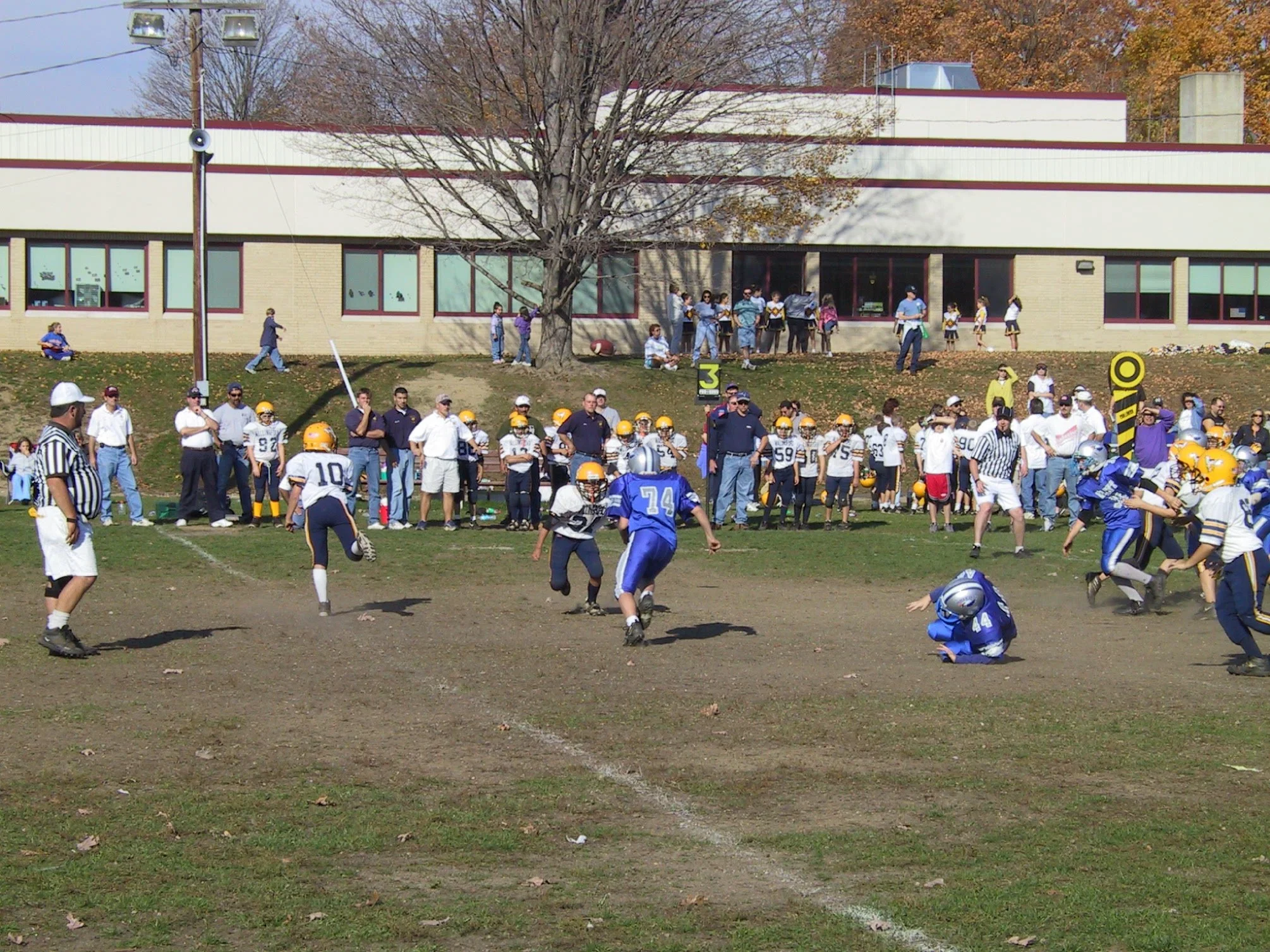 pic35.jpg