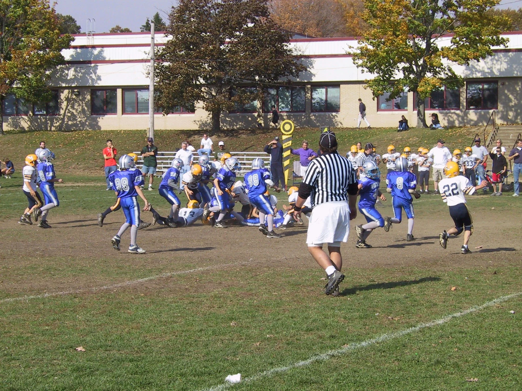 pic12.jpg