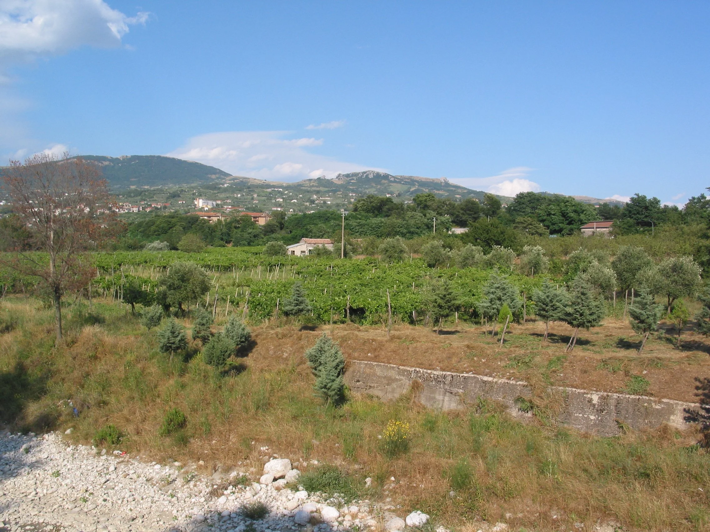 Italy July 2004 (48).jpg