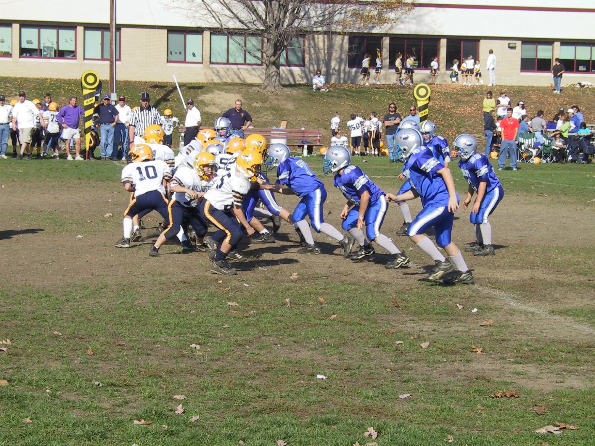 pic31.jpg