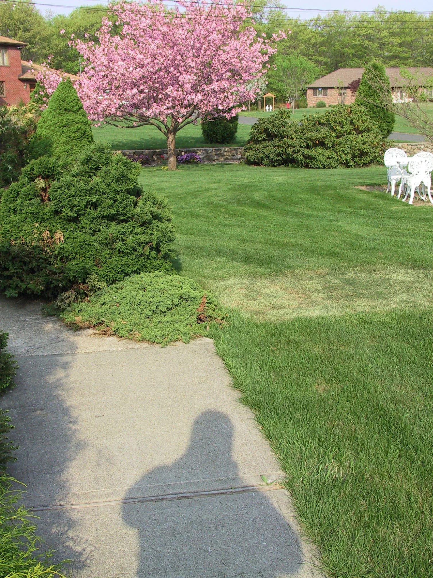 me and my shadow.jpg