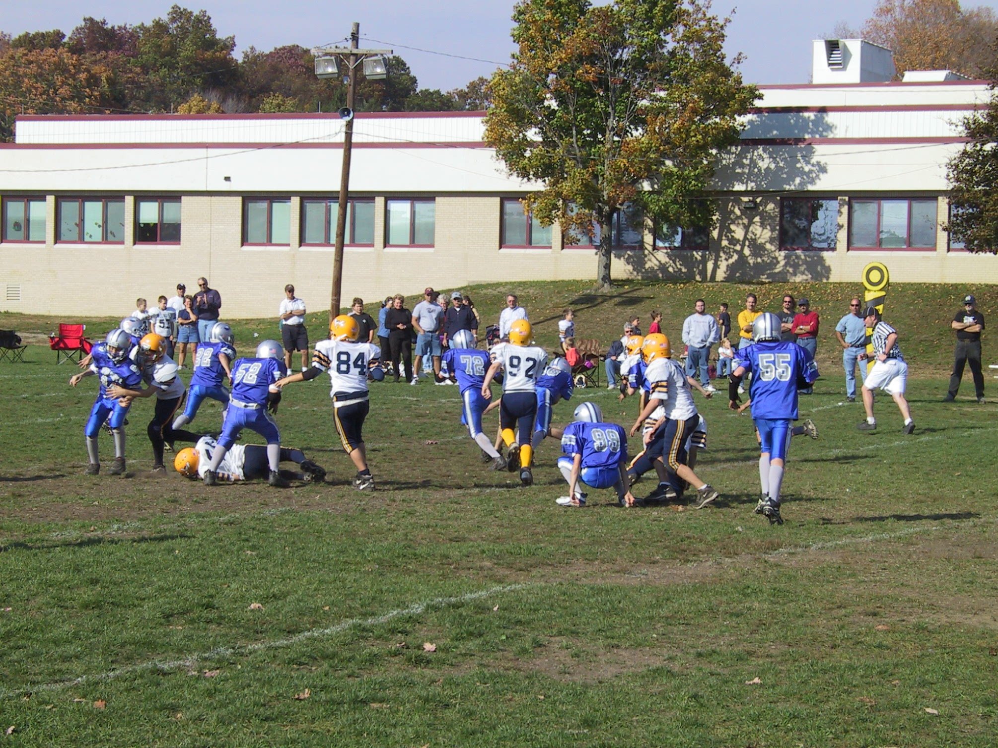 pic25.jpg