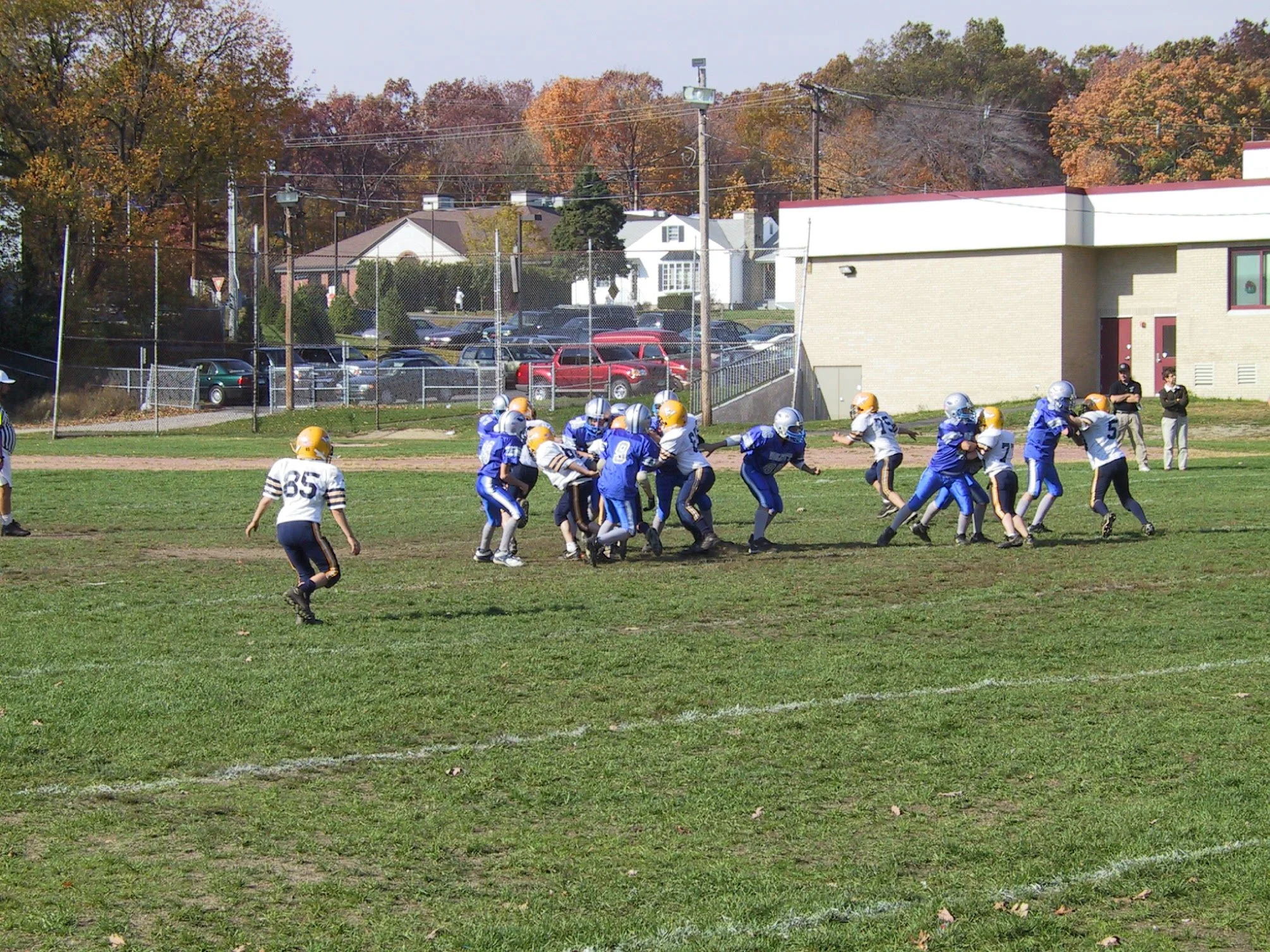 pic23.jpg