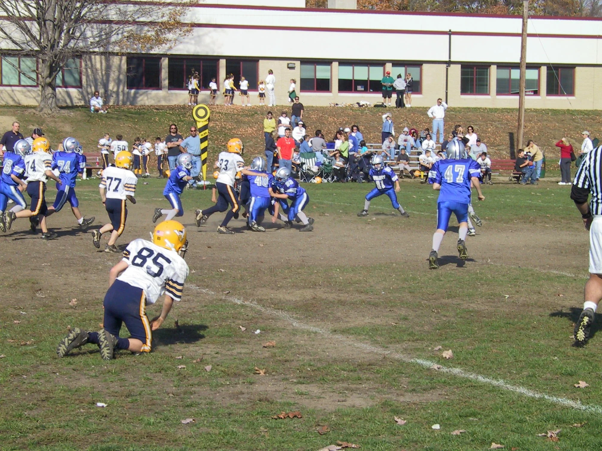 pic38.jpg