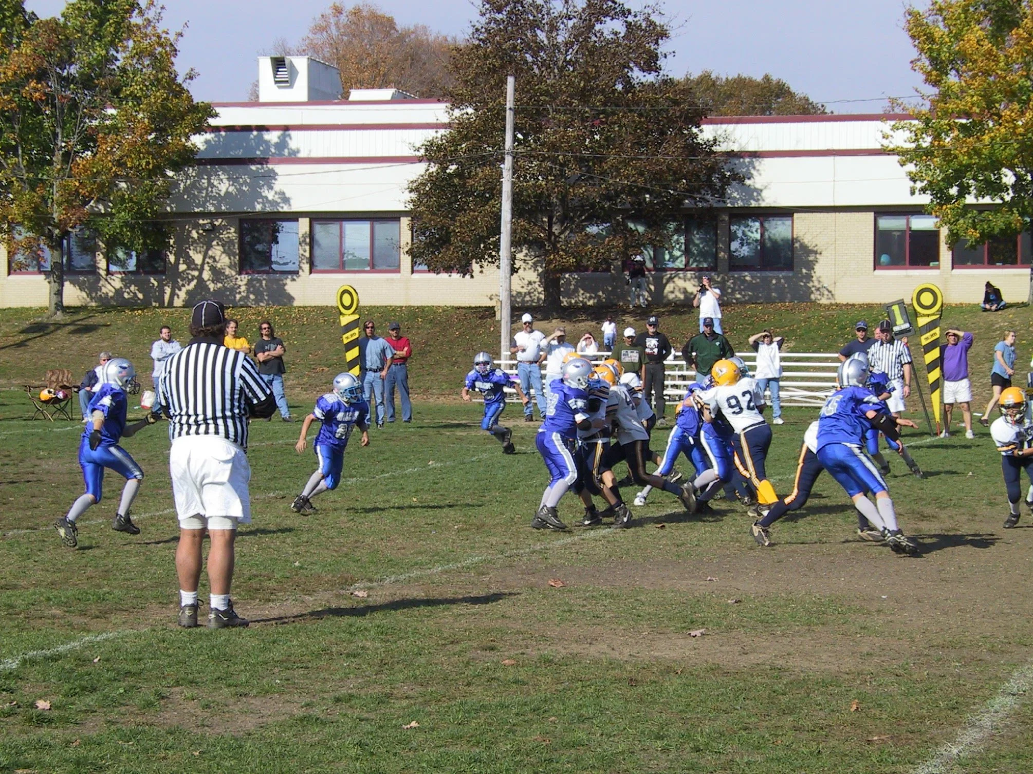 pic24.jpg
