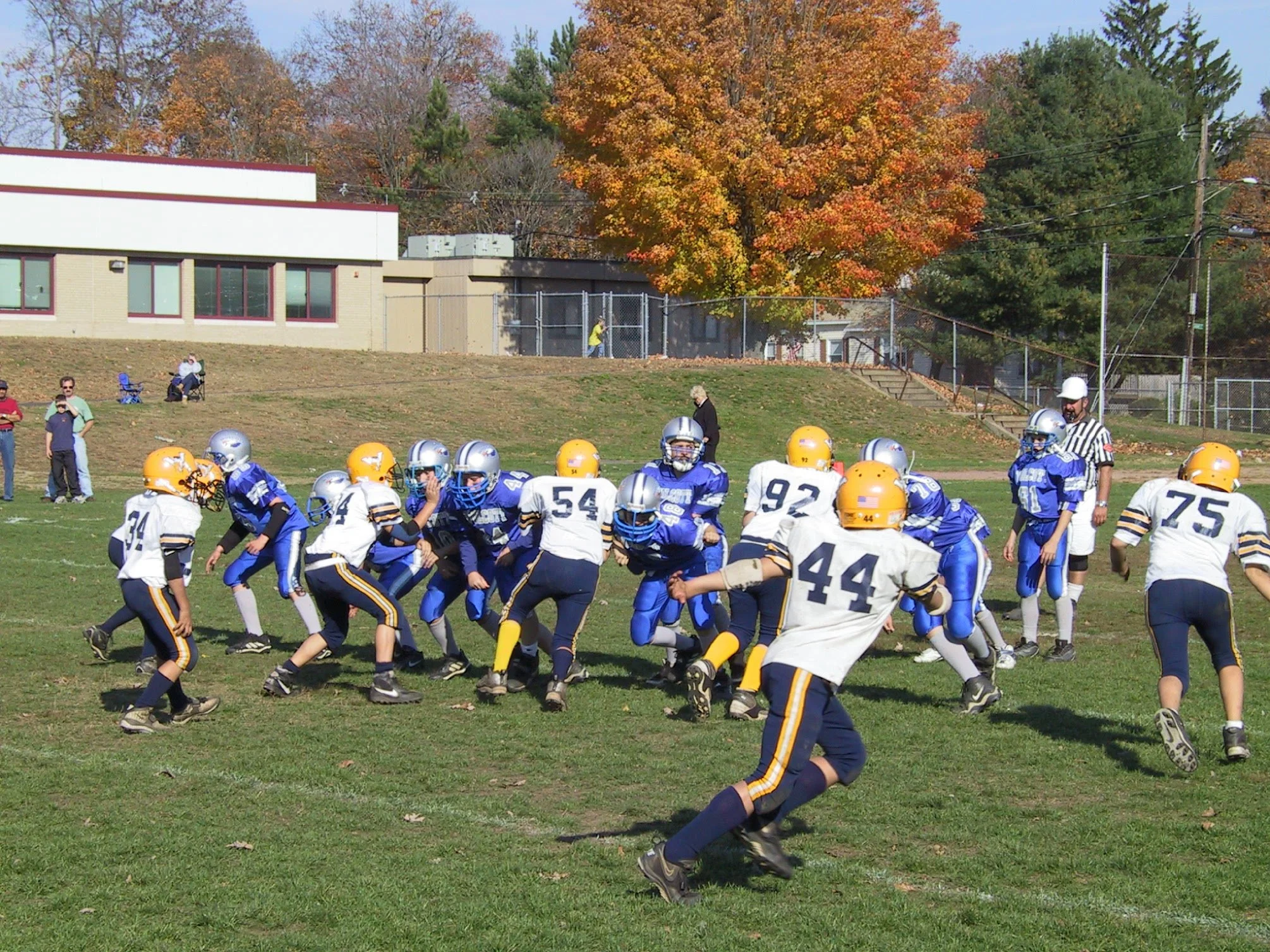 pic41.jpg