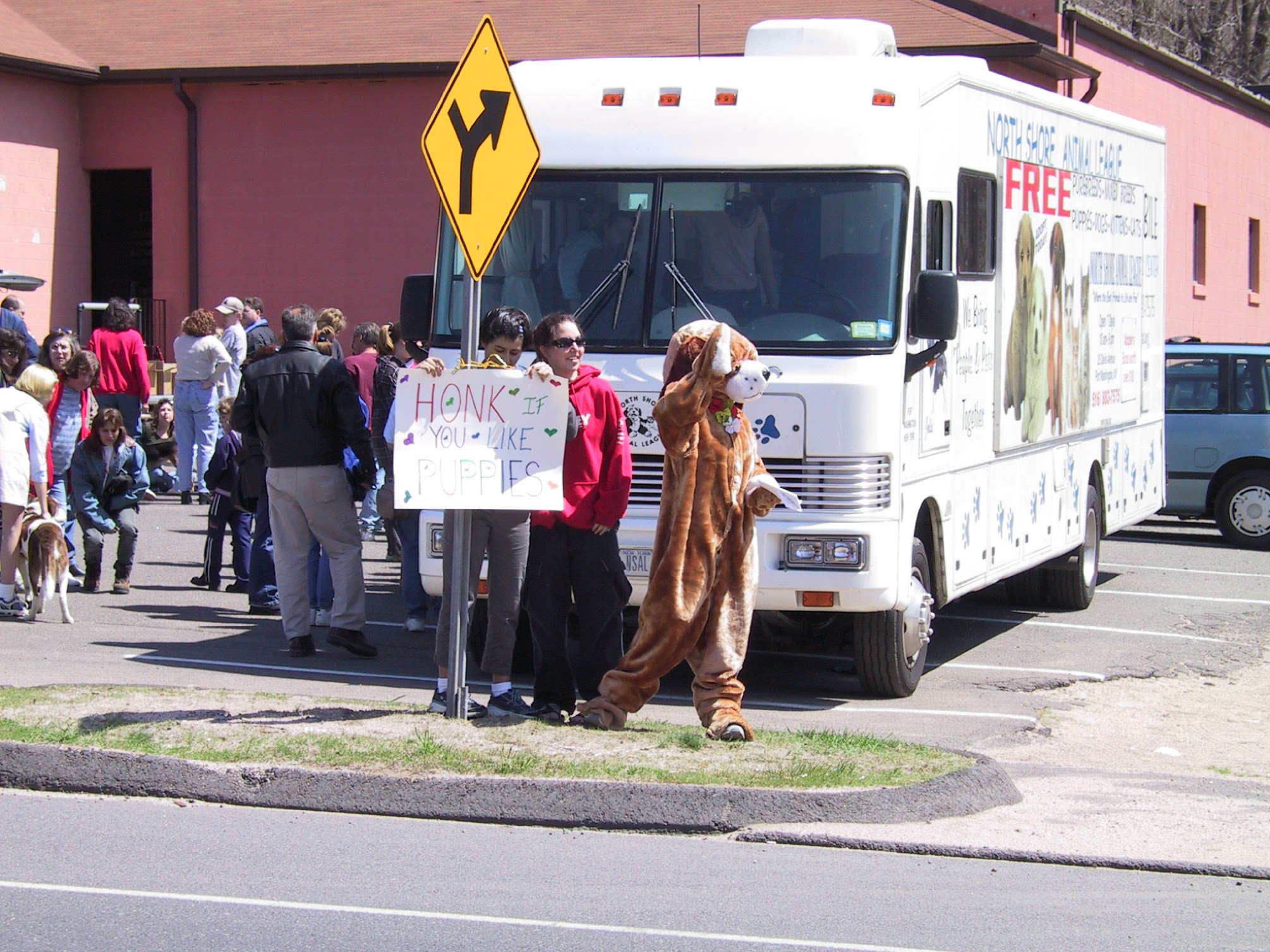 monica dog with honk sign.jpg