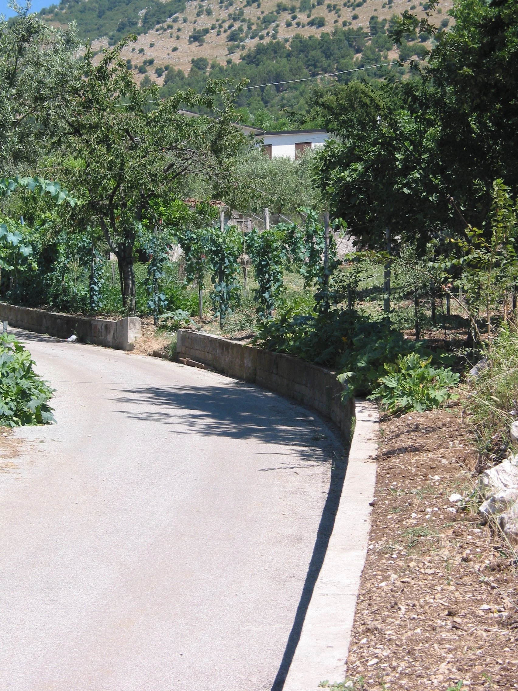 Italy July 2004 (75).jpg