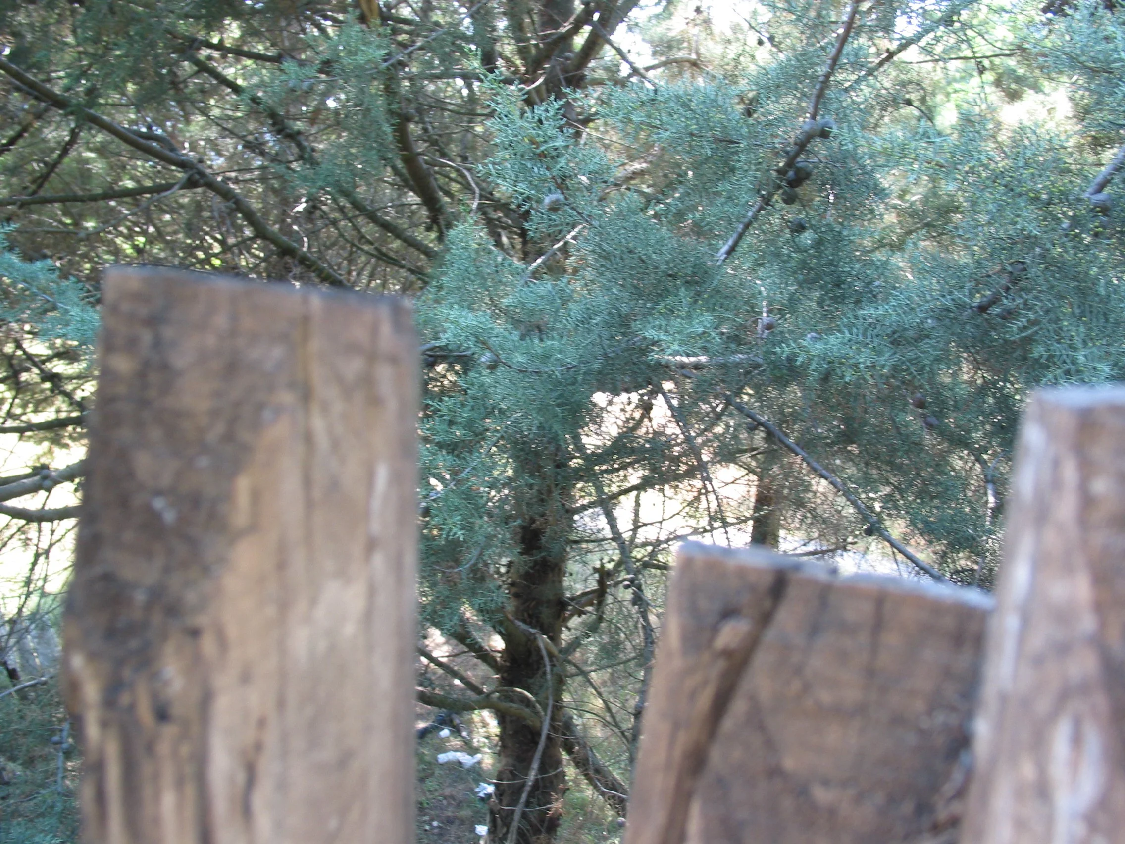 Italy July 2004 (27).jpg