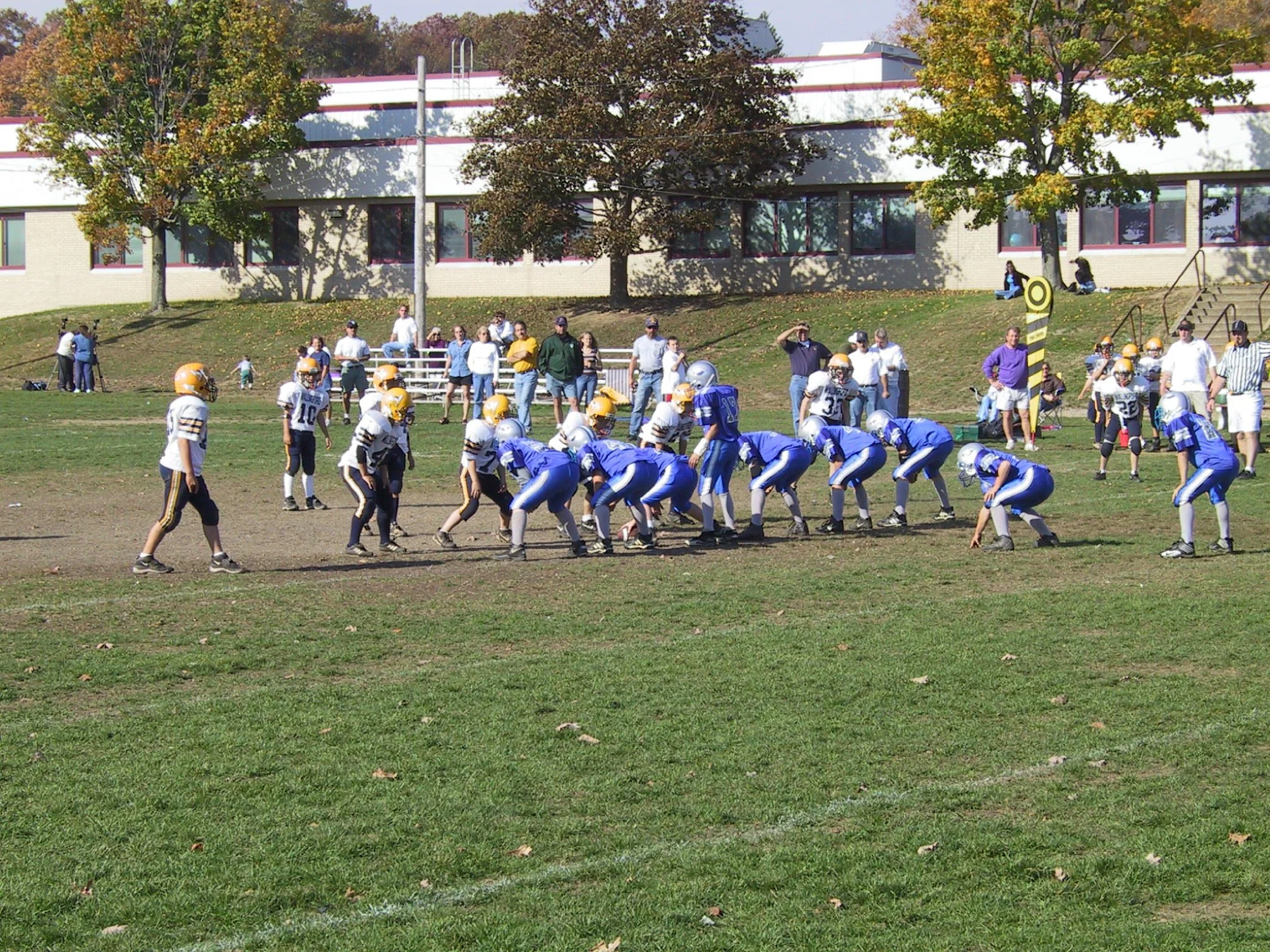 pic28.jpg