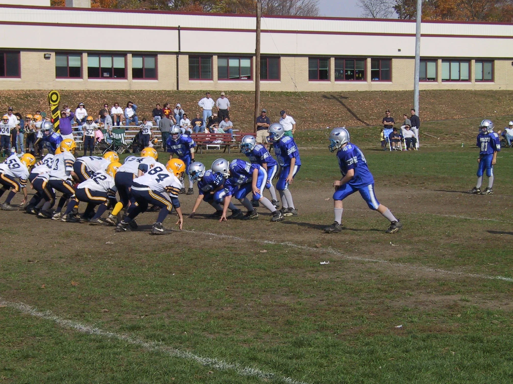 pic07.jpg