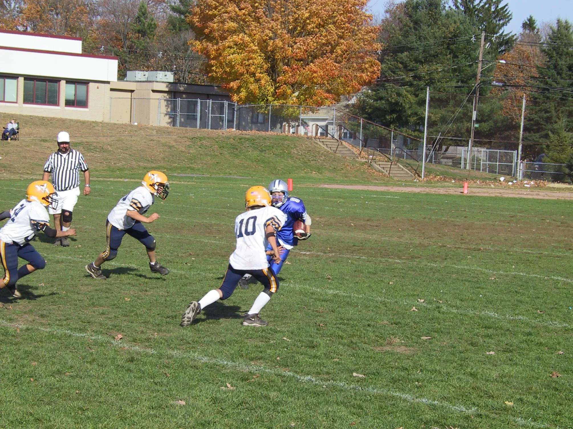 pic39.jpg