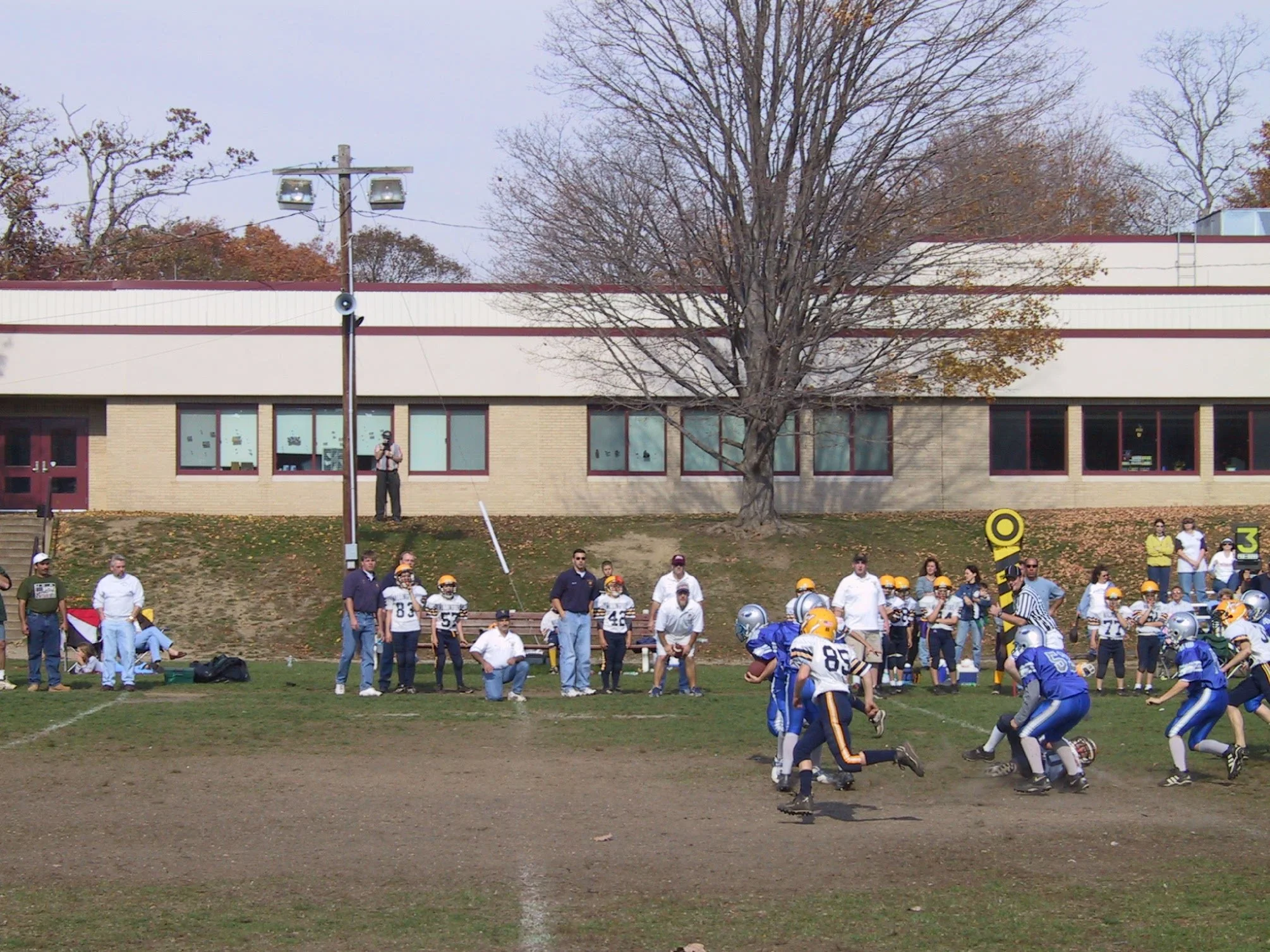 pic06.jpg