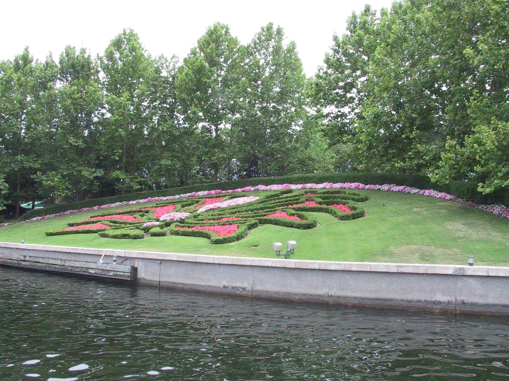 flowers on bank2.jpg