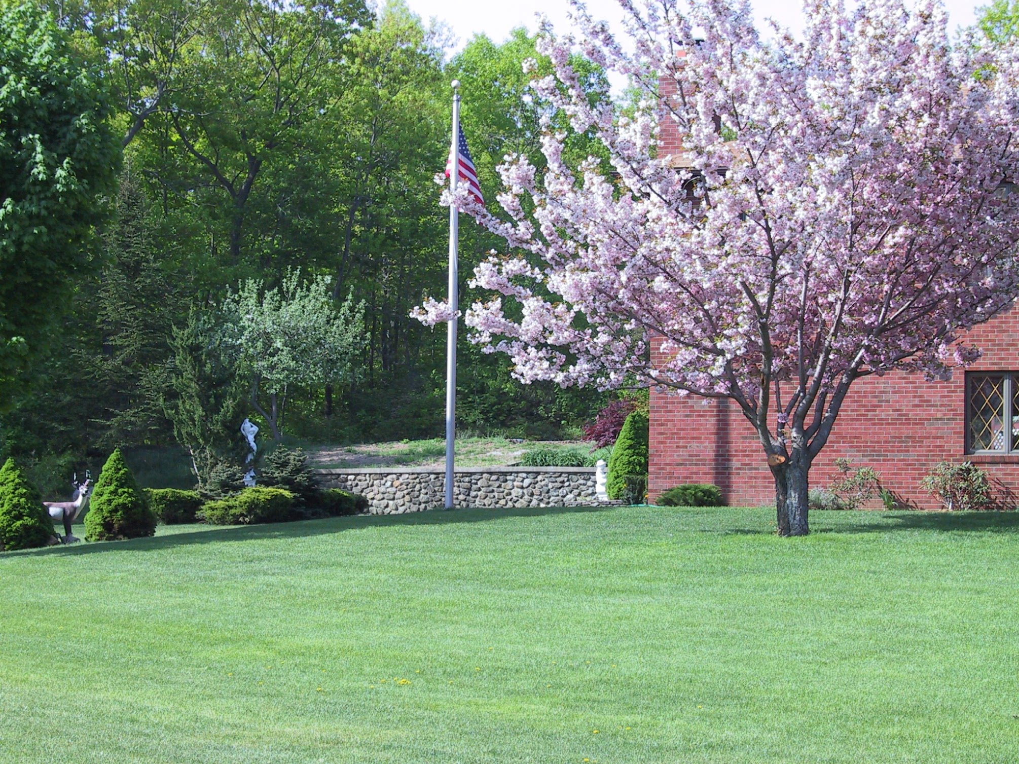 pic1.jpg