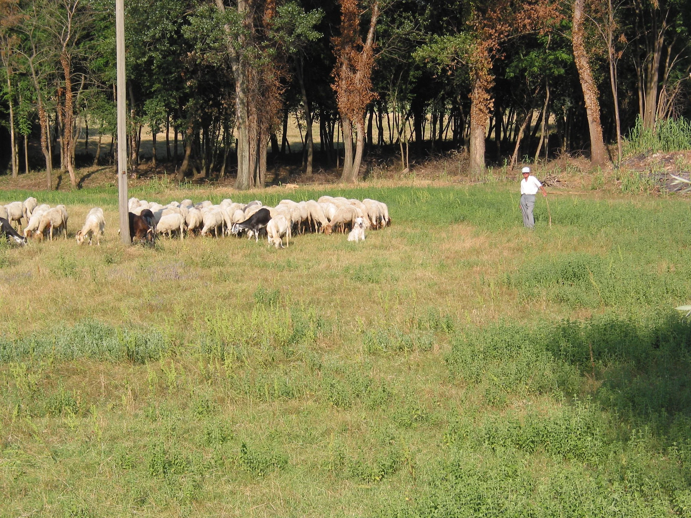 Italy July 2004 (50).jpg