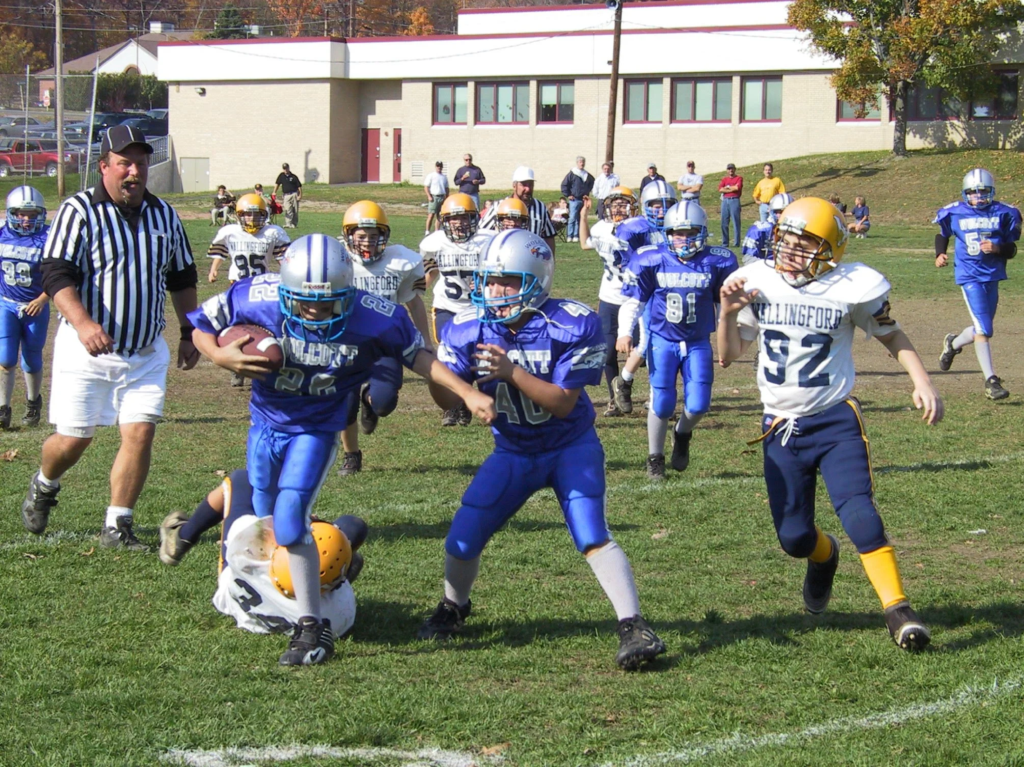 pic16.jpg