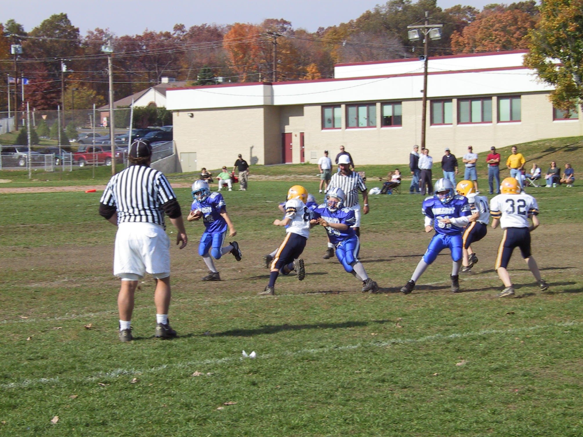 pic15.jpg