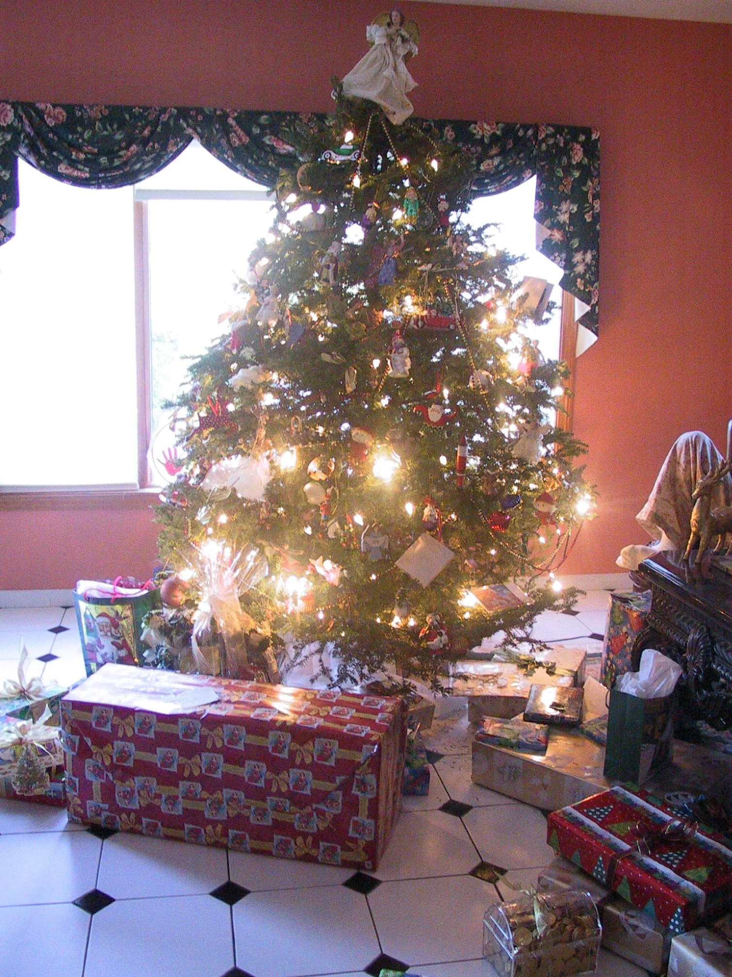tree.jpg