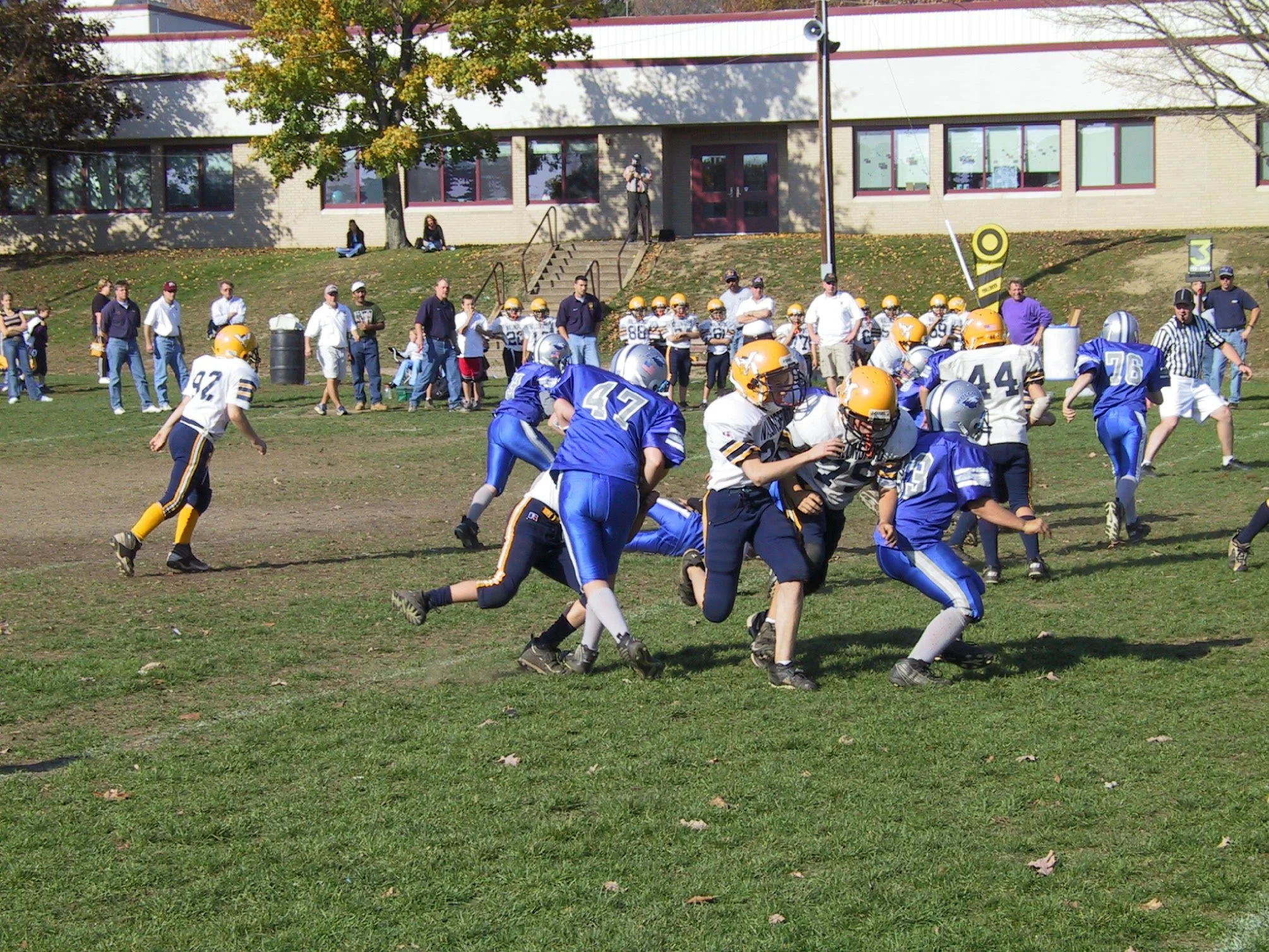 pic37.jpg