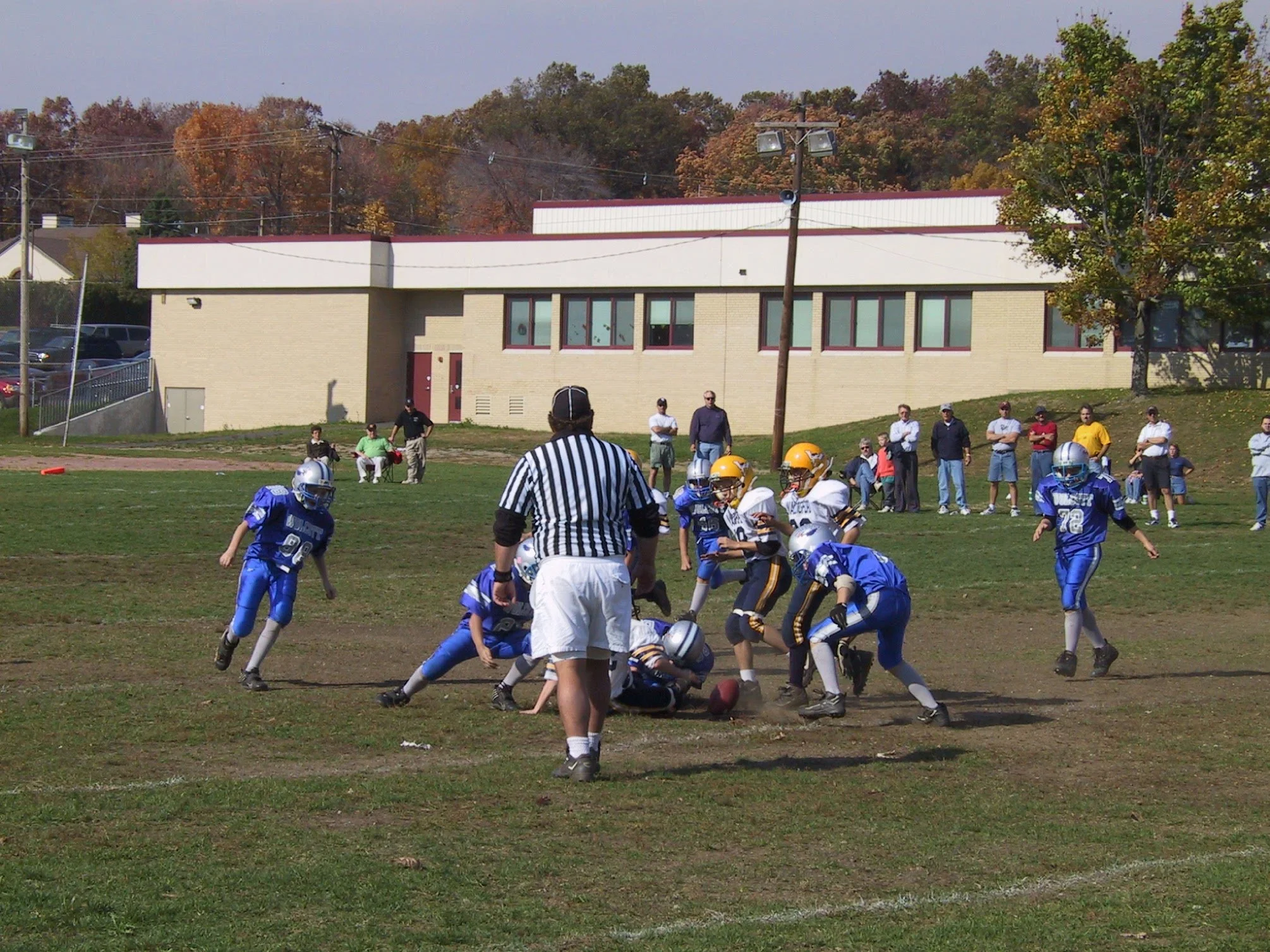 pic13.jpg