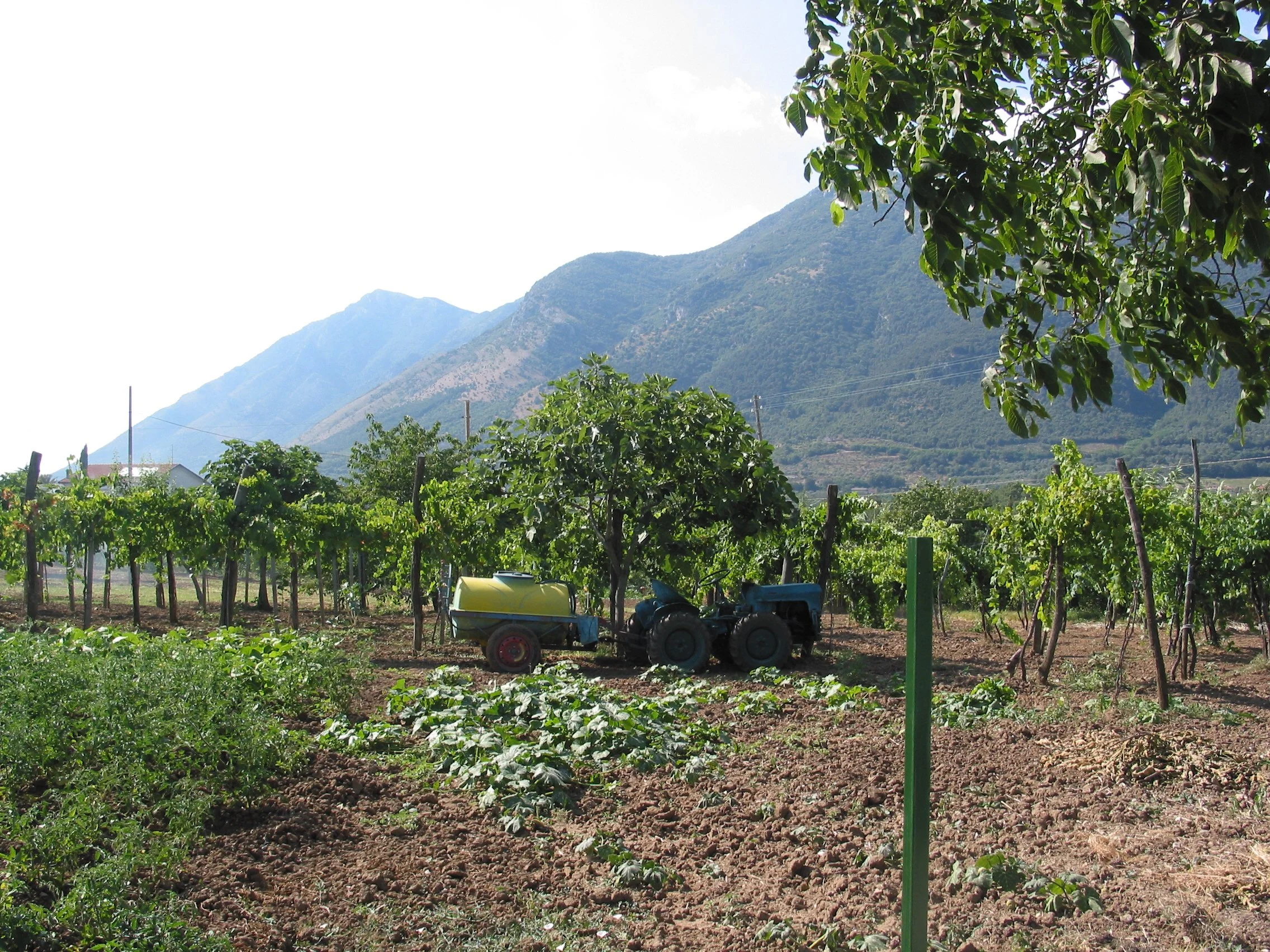 Italy July 2004 (10).jpg