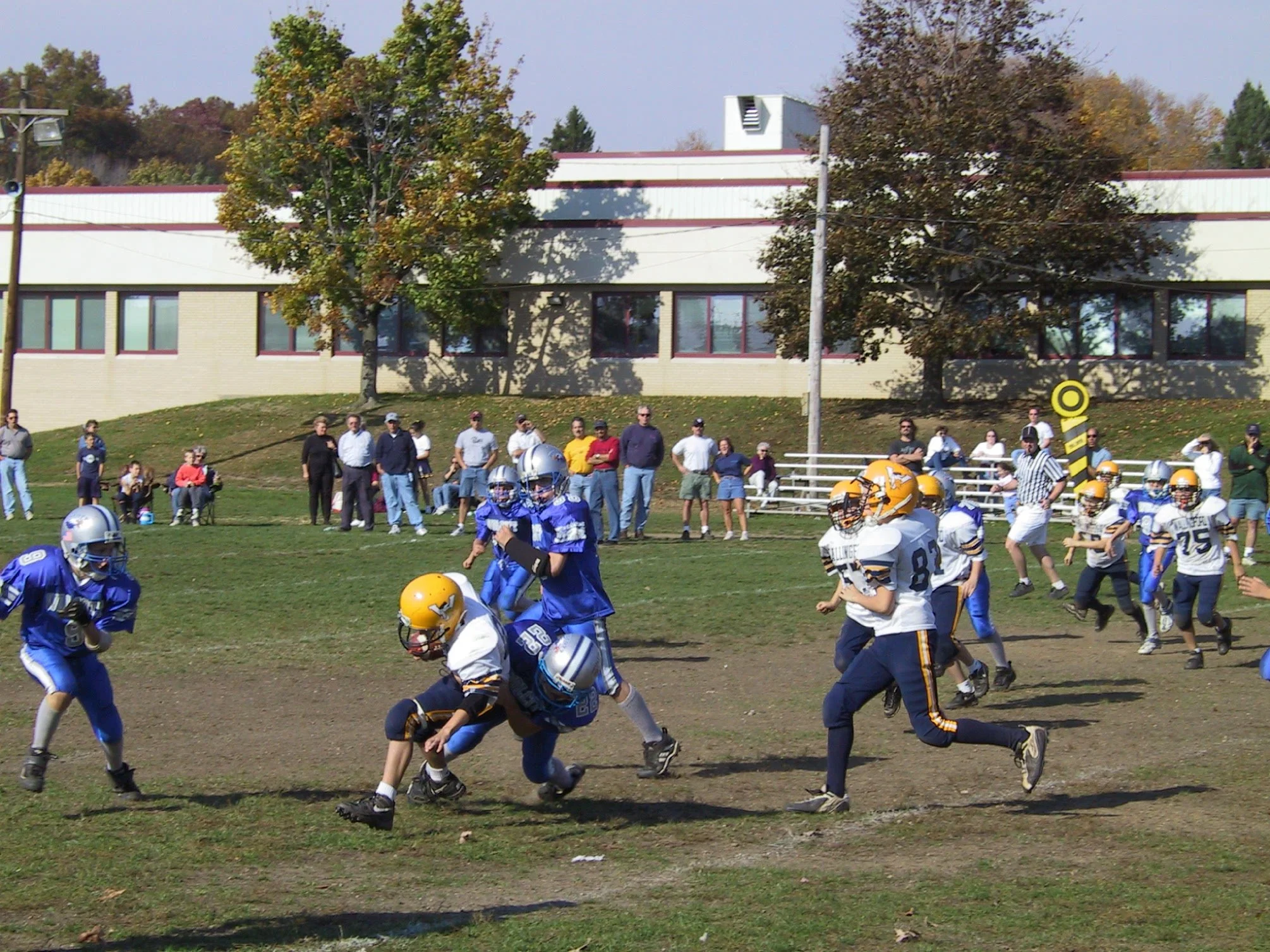 pic18.jpg