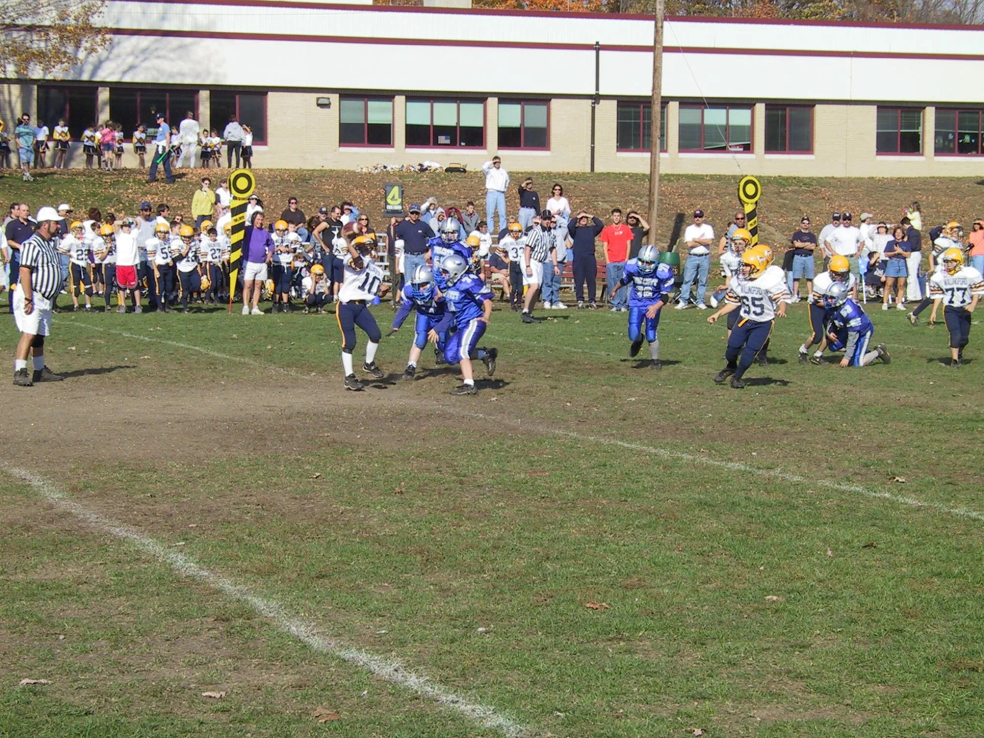 pic33.jpg