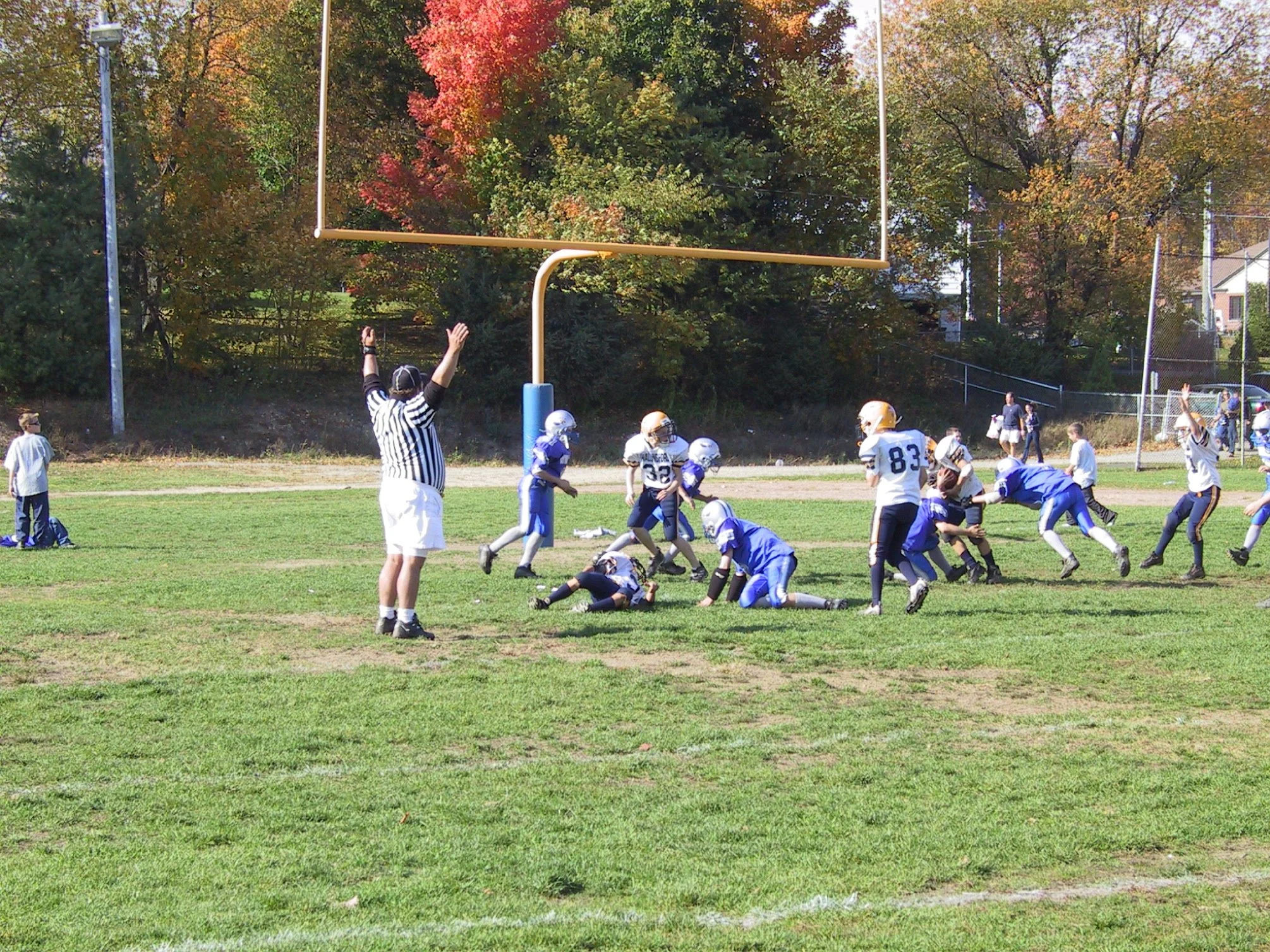 pic26.jpg