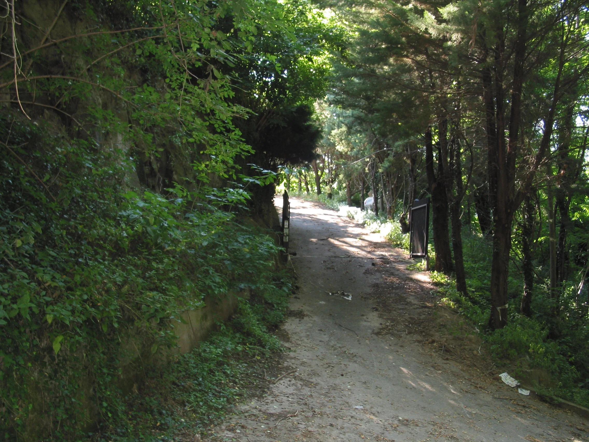 Italy July 2004 (19).jpg