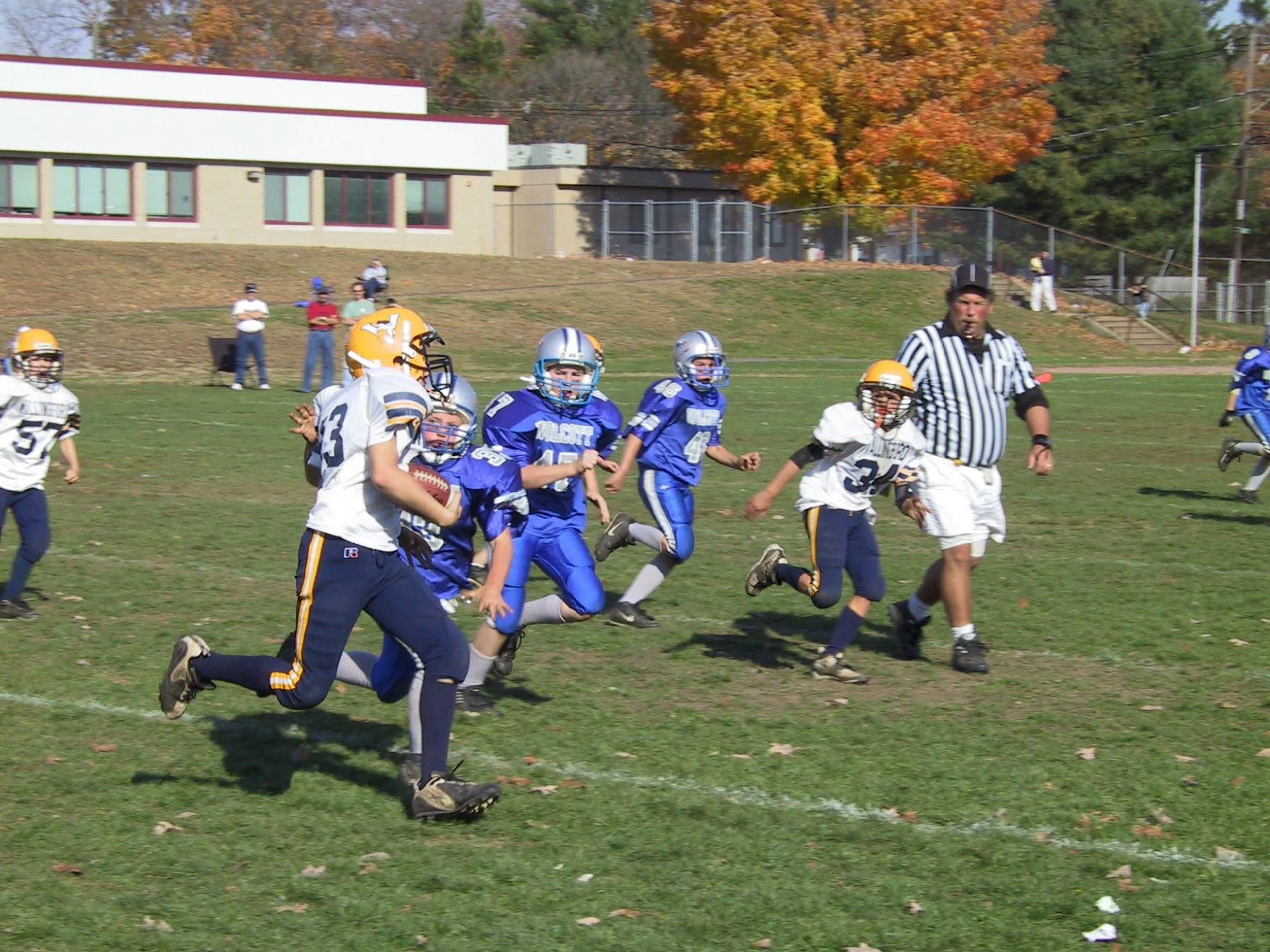 pic34.jpg
