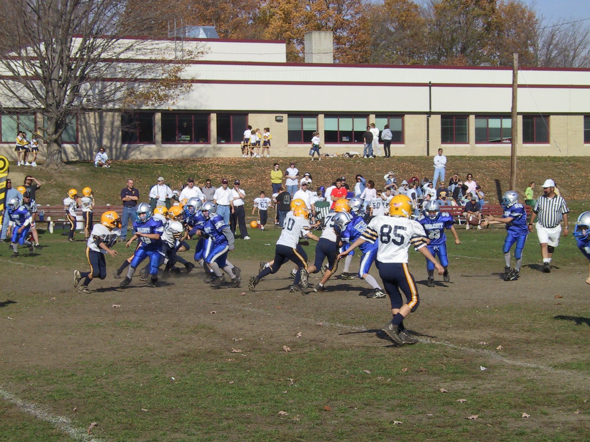 pic29.jpg
