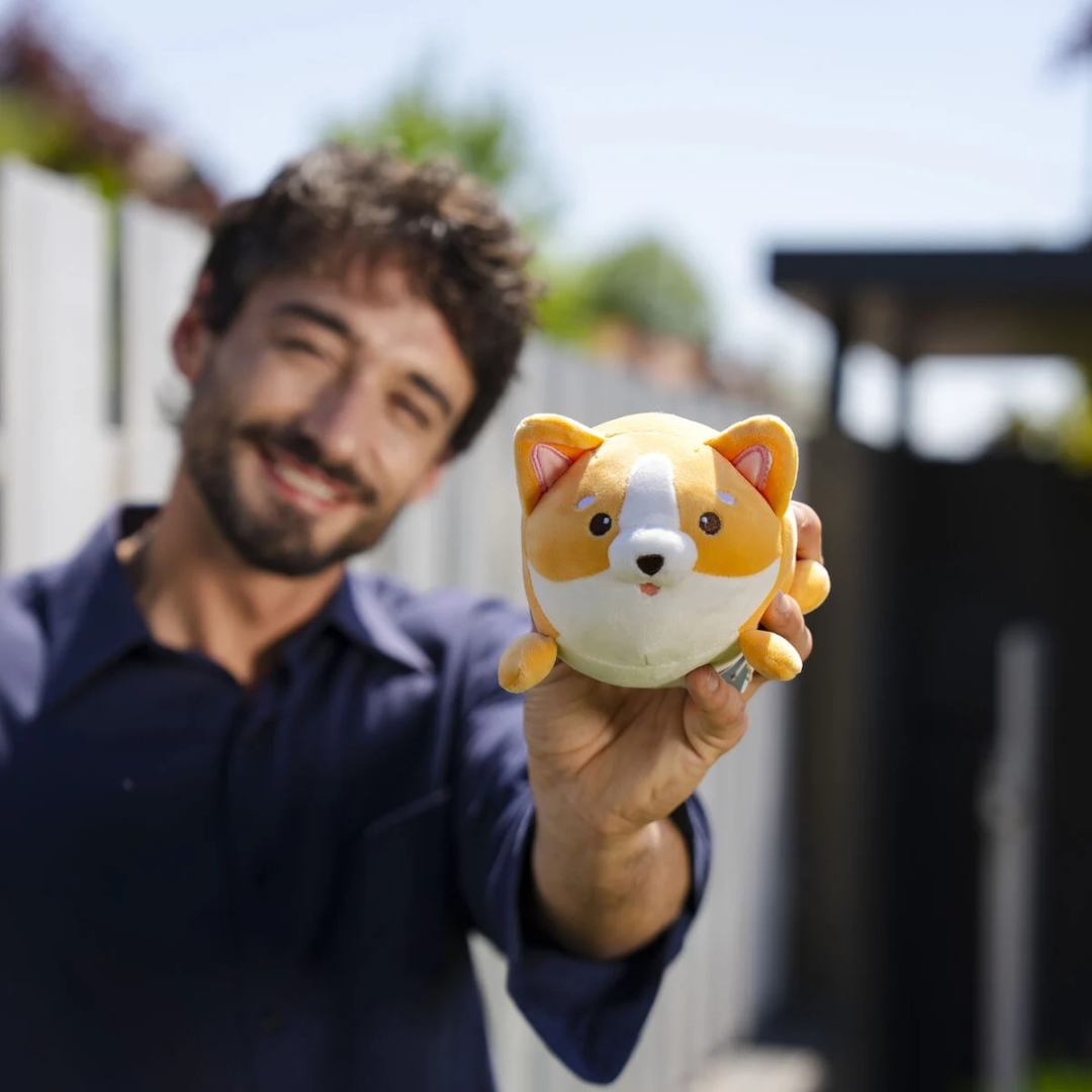 corgi plush.png
