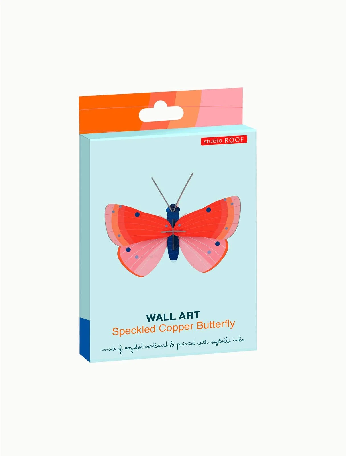 studio-roof-insect-s-speckled-copper-butterfly-2.jpg