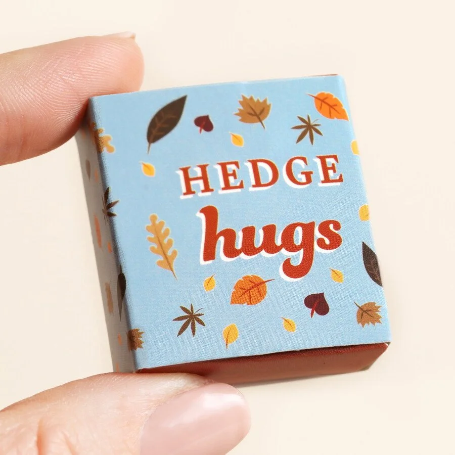 tiny-matchbox-ceramic-hedgehog-token-80431-4x3a5443copy-900x900.jpeg