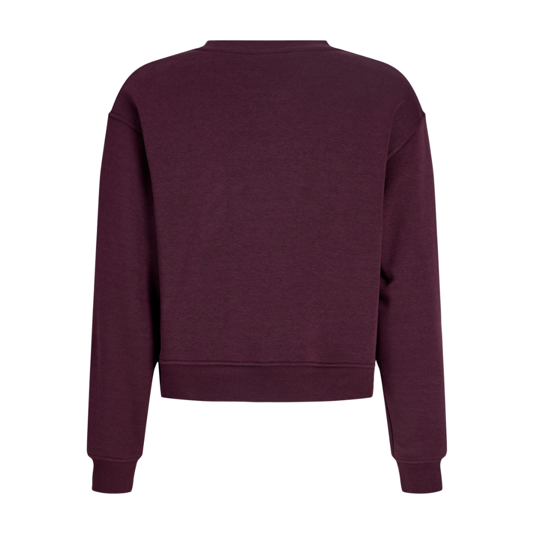 jxtatum- paris-sweatshirt-back.png