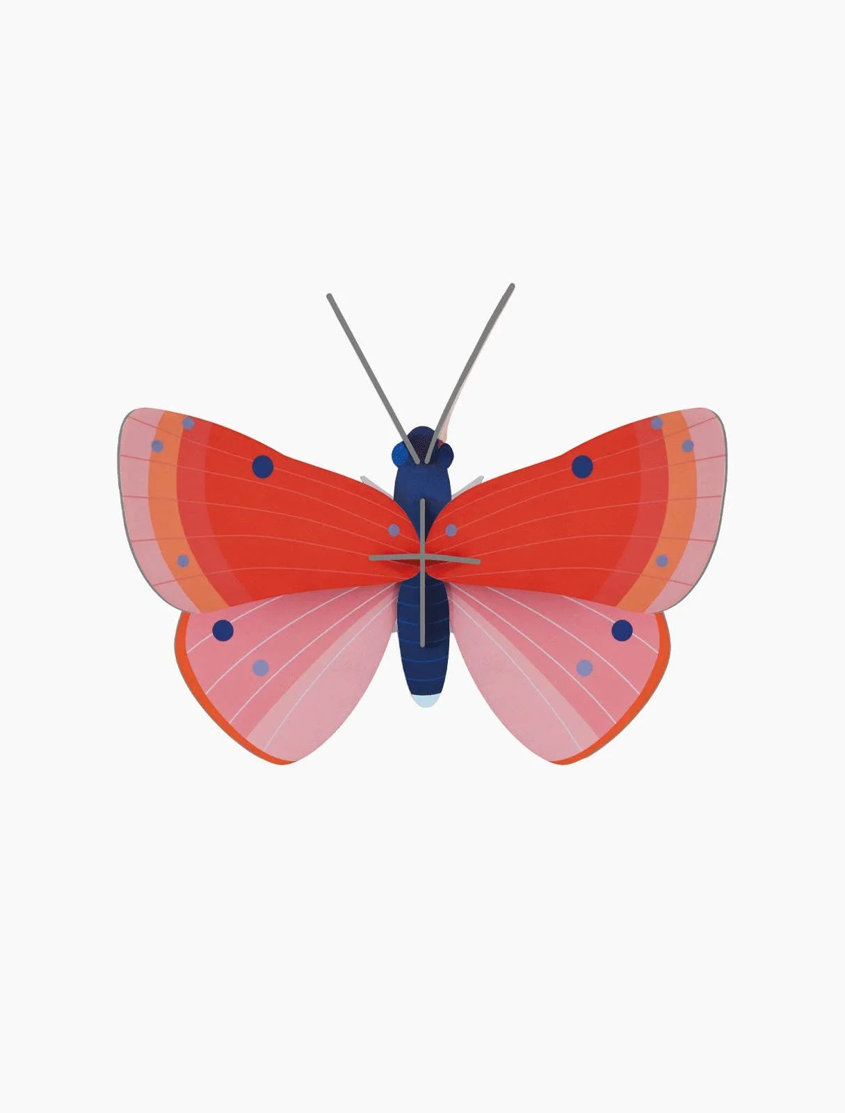studio-roof-insect-s-speckled-copper-butterfly.jpg