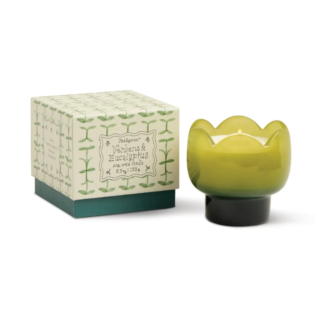 Paddywax Tulip Glass Candle - Verbena & Lemongrass.png