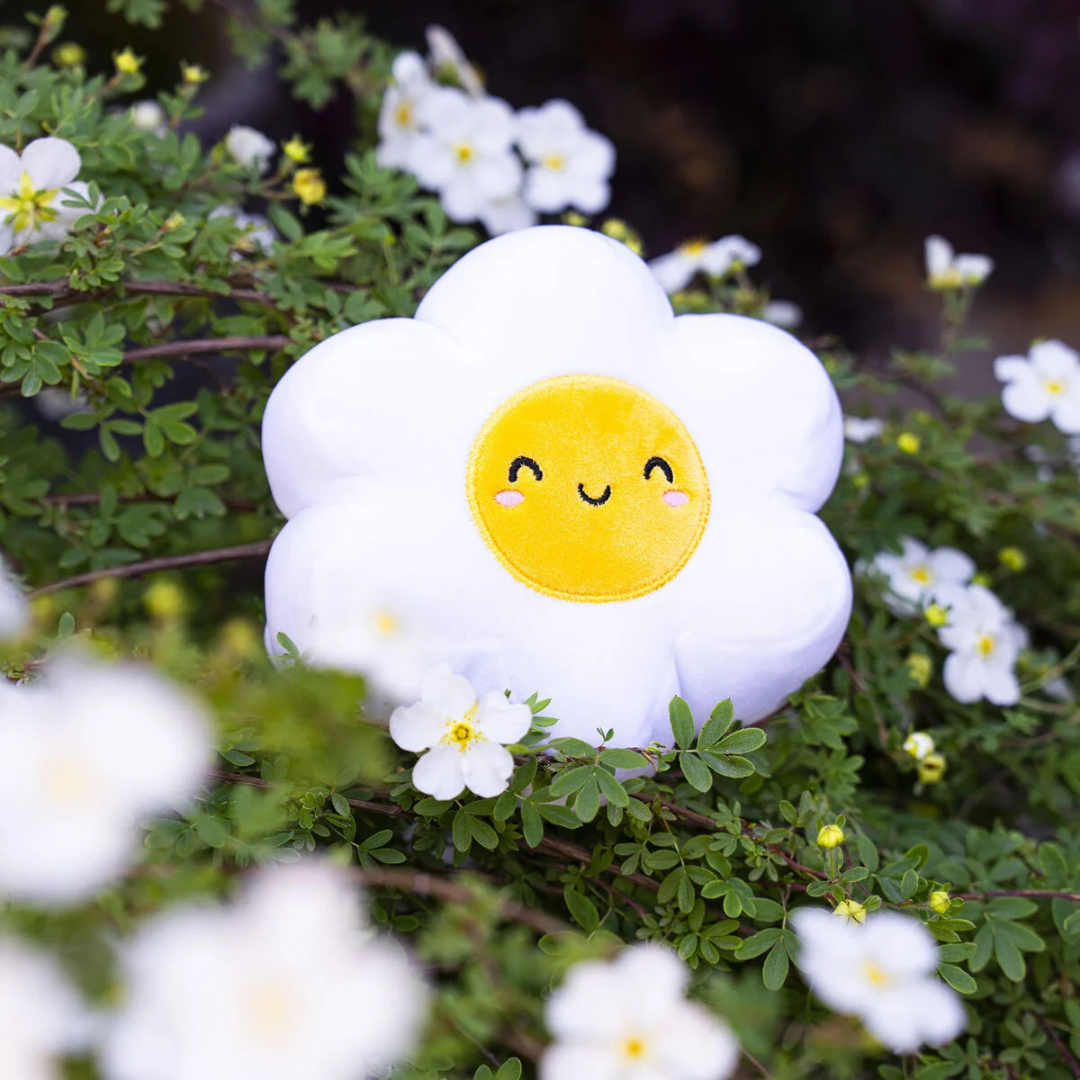 daisy plush2.png