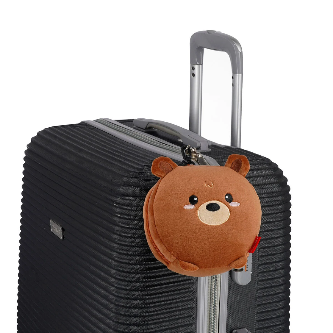teddy travel 4.png